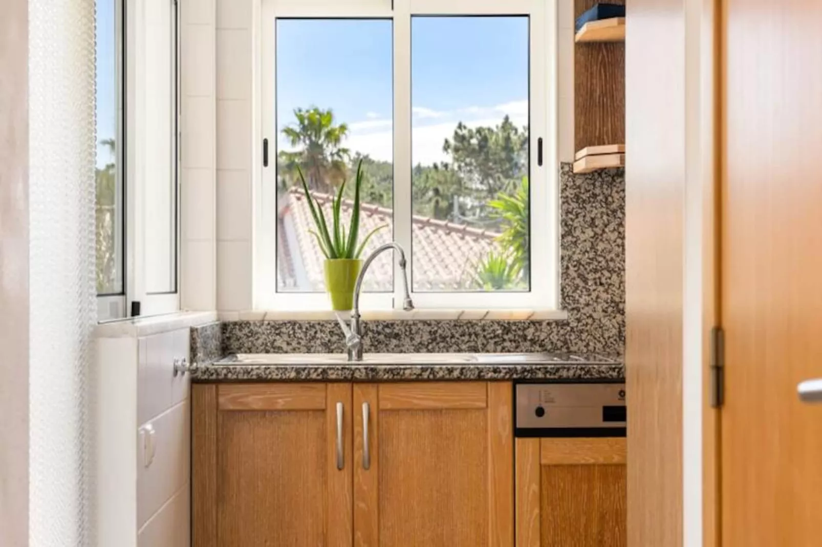 Duas Palmeiras-Niet-getagd