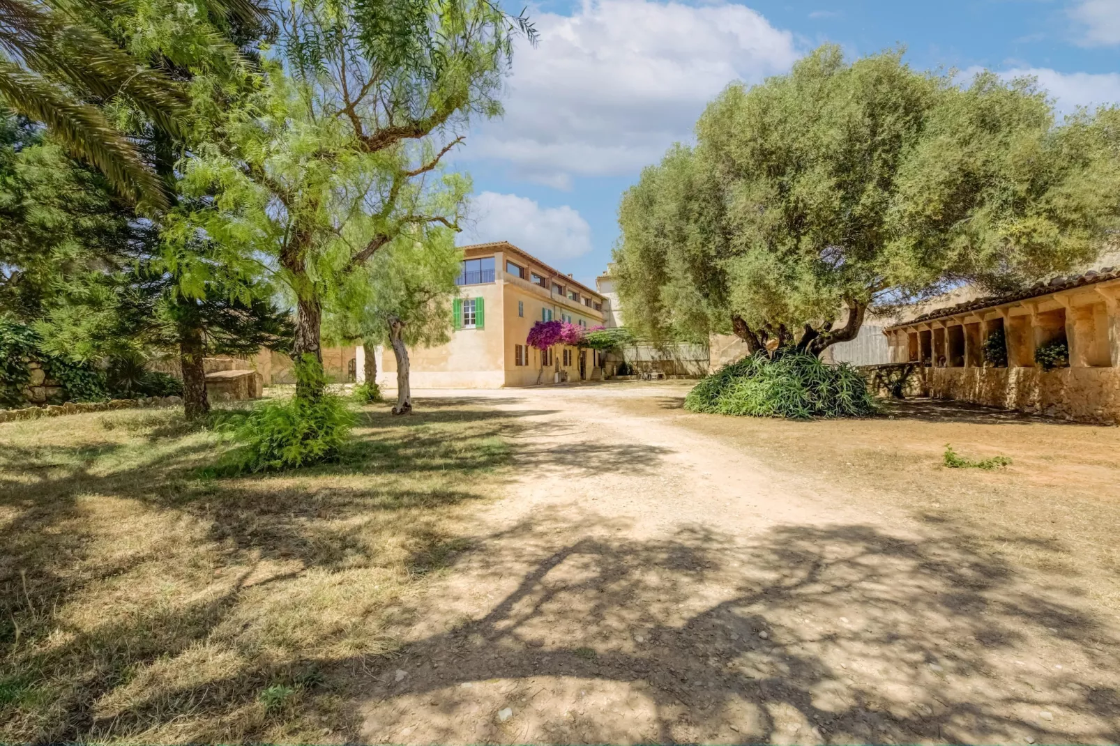 Gallinero-Gebieden zomer 1km