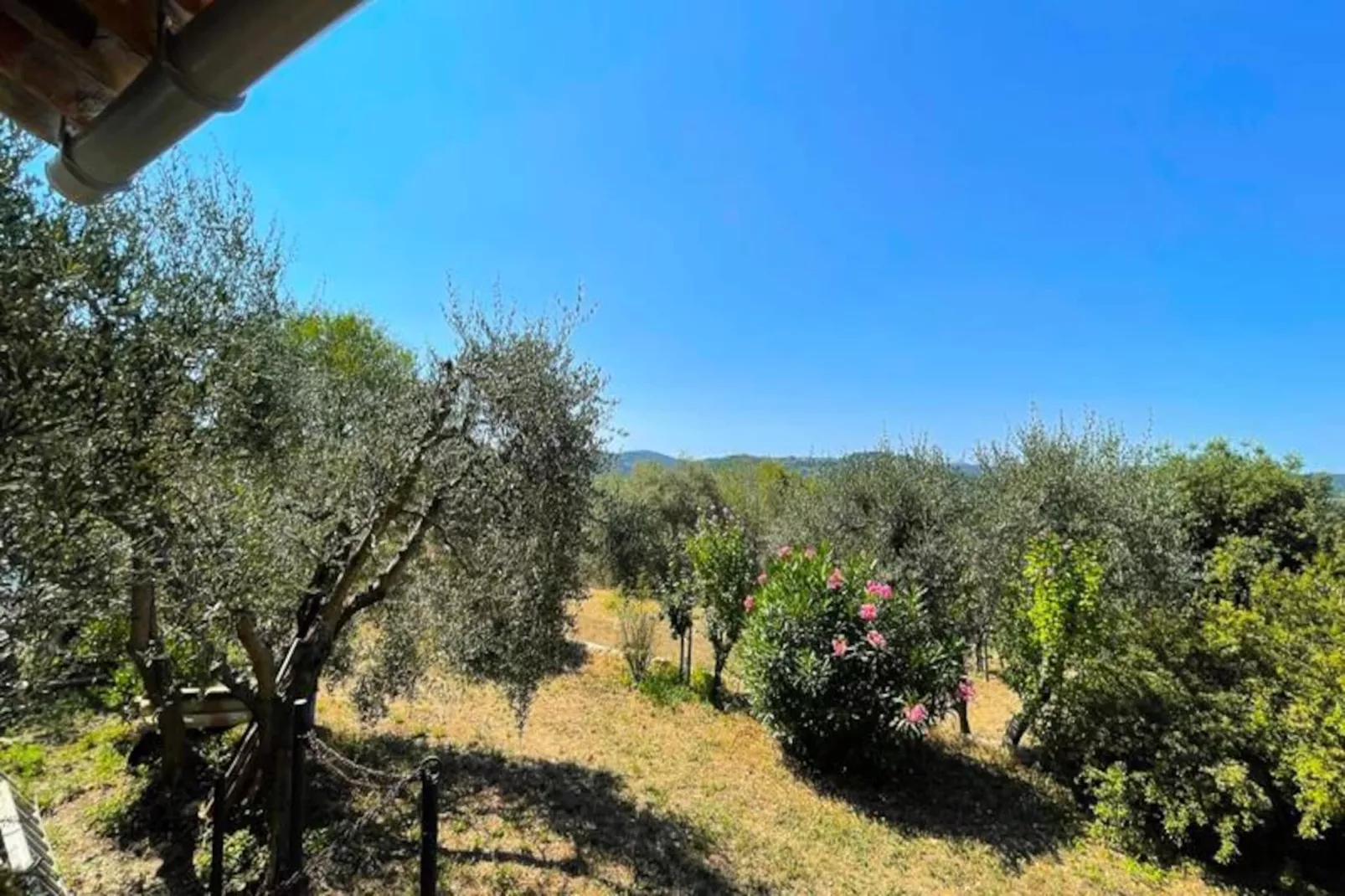 Charmant Mas 6 Pers &agrave; Peymeinade - 20 Min De Cannes-Niet-getagd