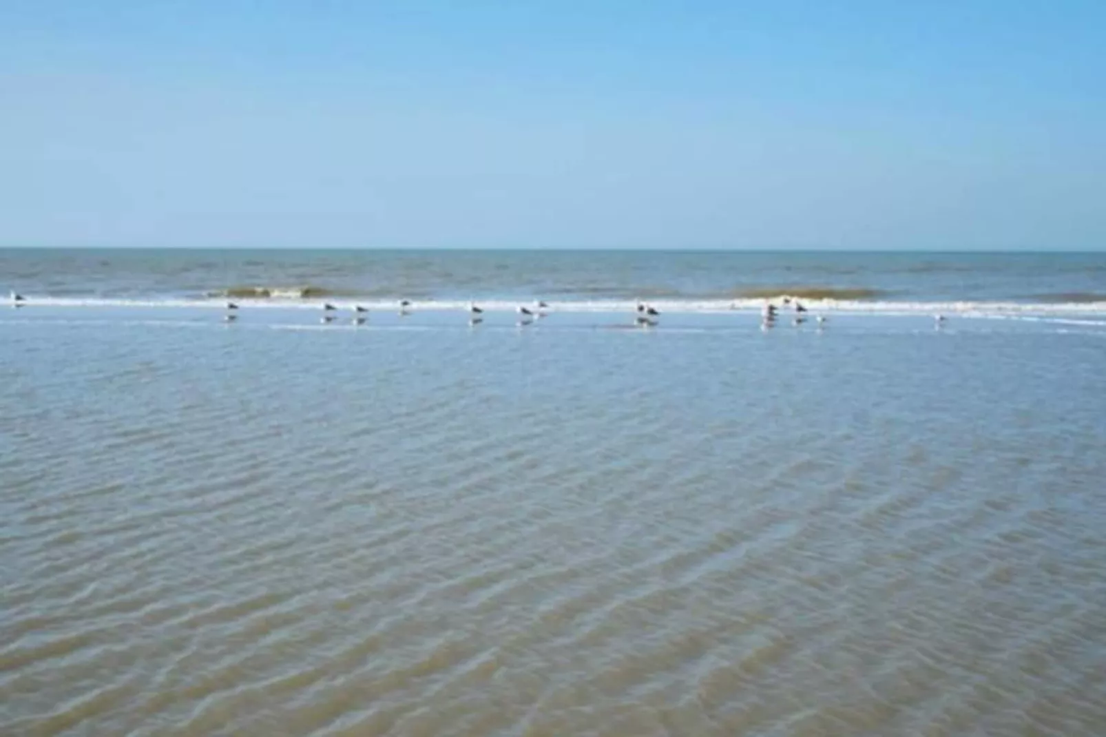 Studio Zwinkels-Niet-getagd