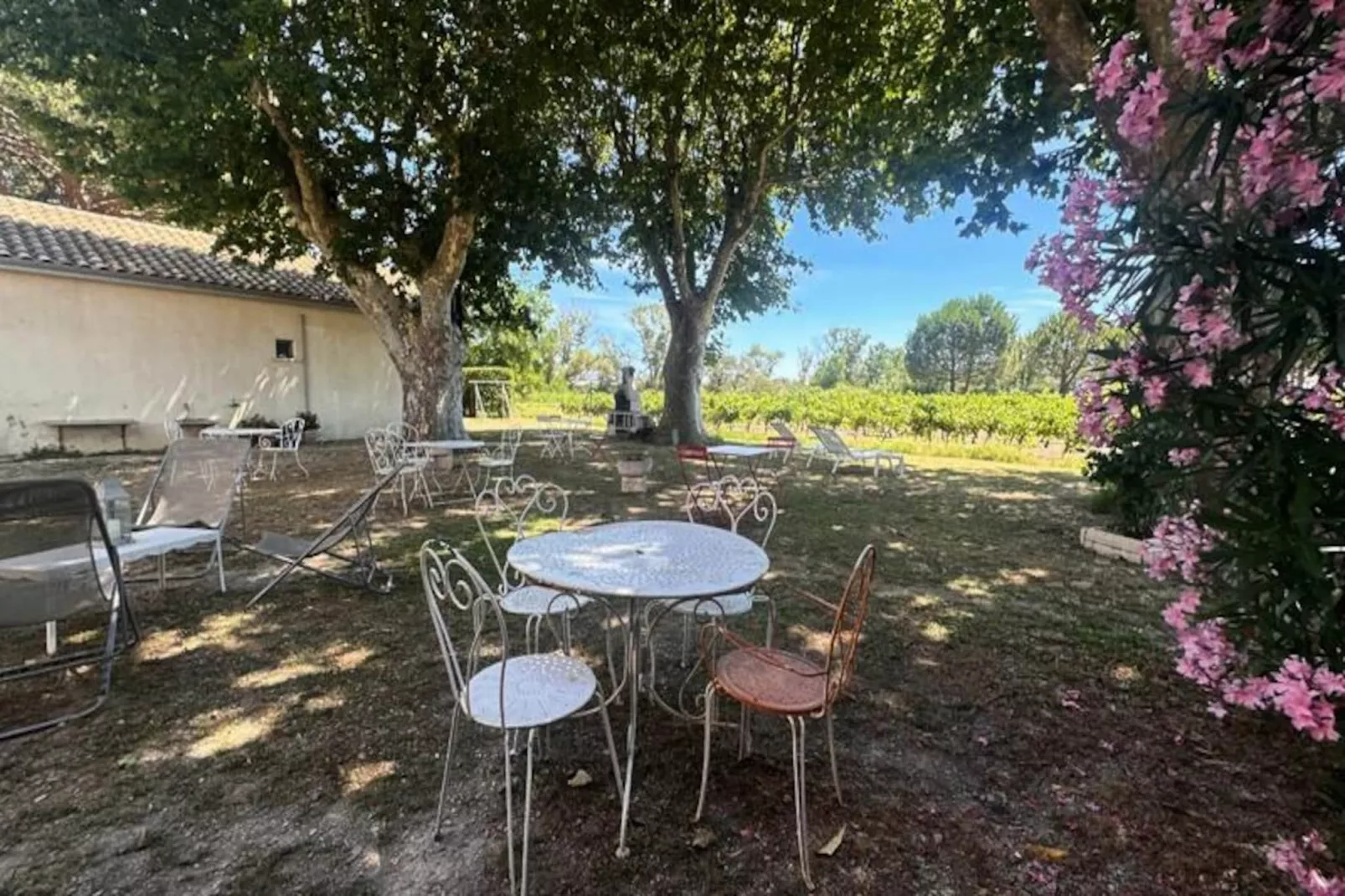 Résidence G&icirc;te Du Mas - Charmant G&icirc;te Proven&ccedil;al Avec Jardin Commun-Niet-getagd