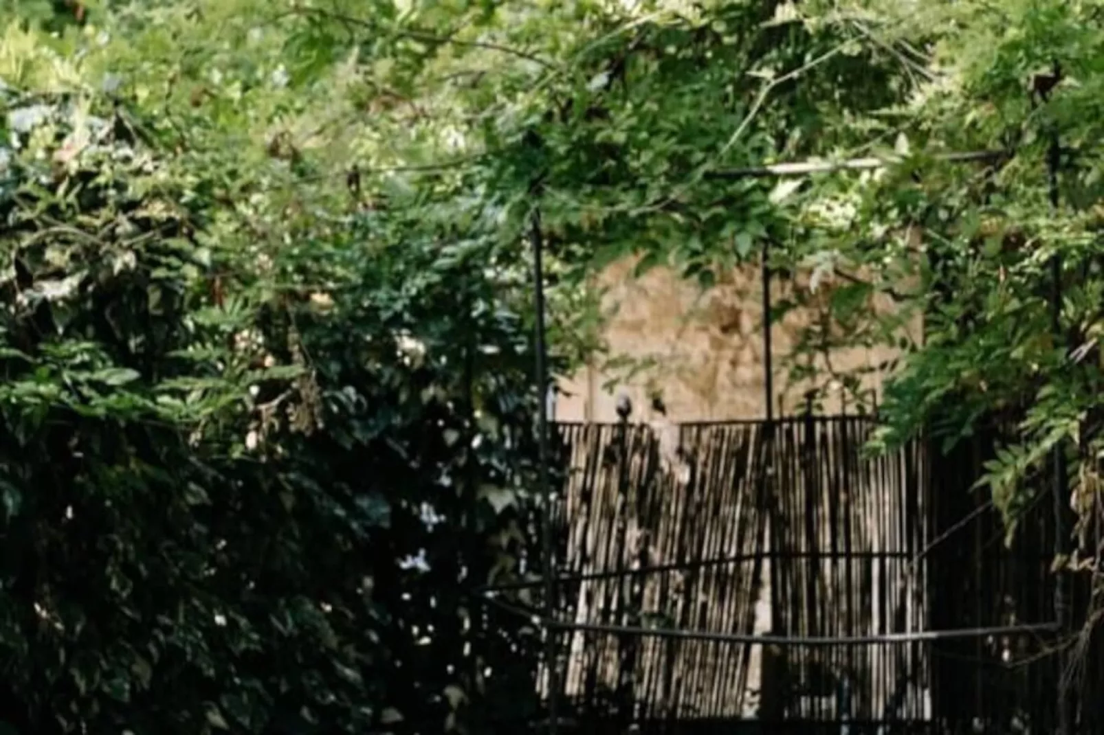 84b7 - Logement Dans Mas De Charme Du Xviii&egrave;me Si&egrave;cle-Niet-getagd