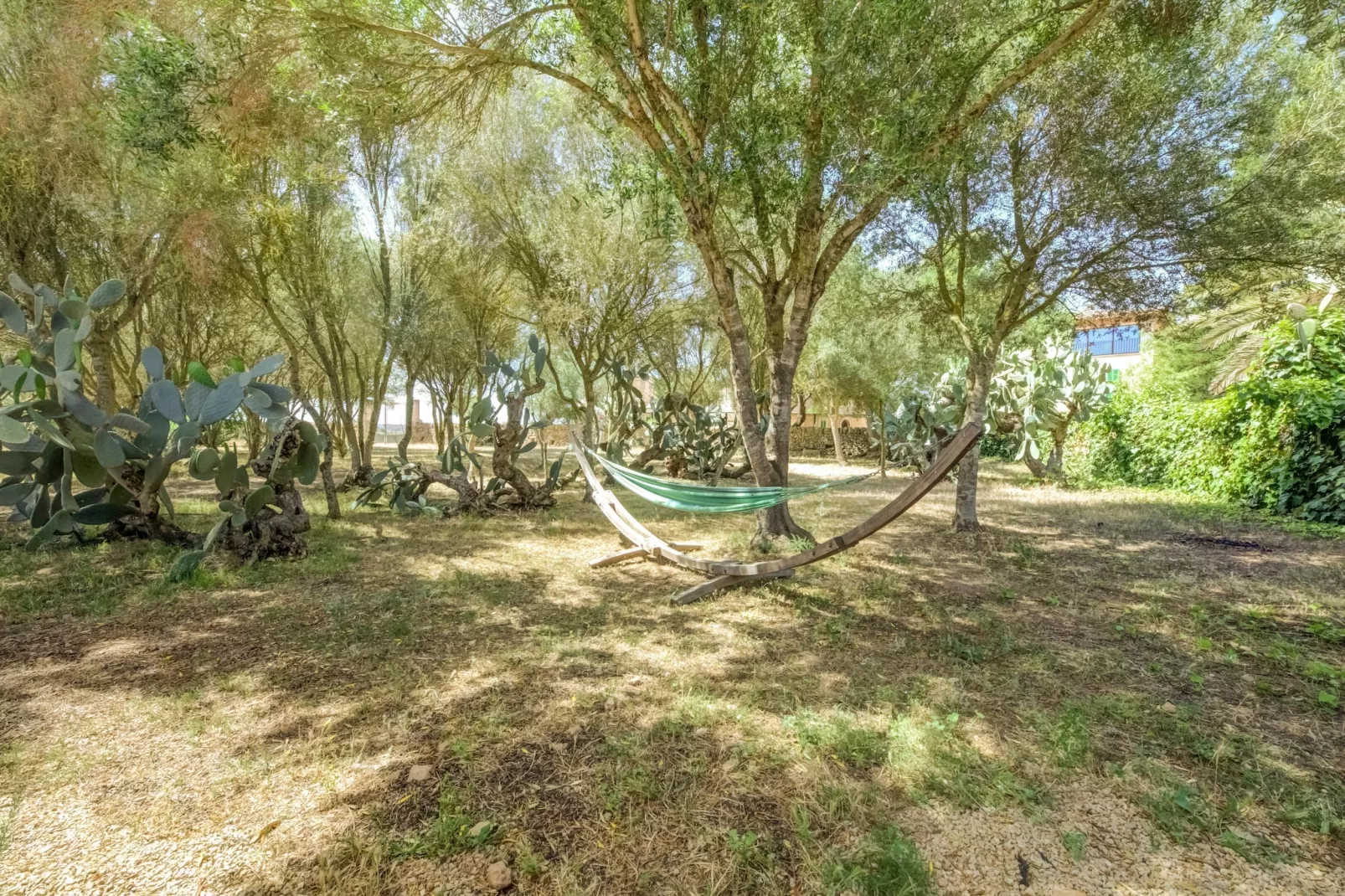 Gallinero-Gebieden zomer 1km