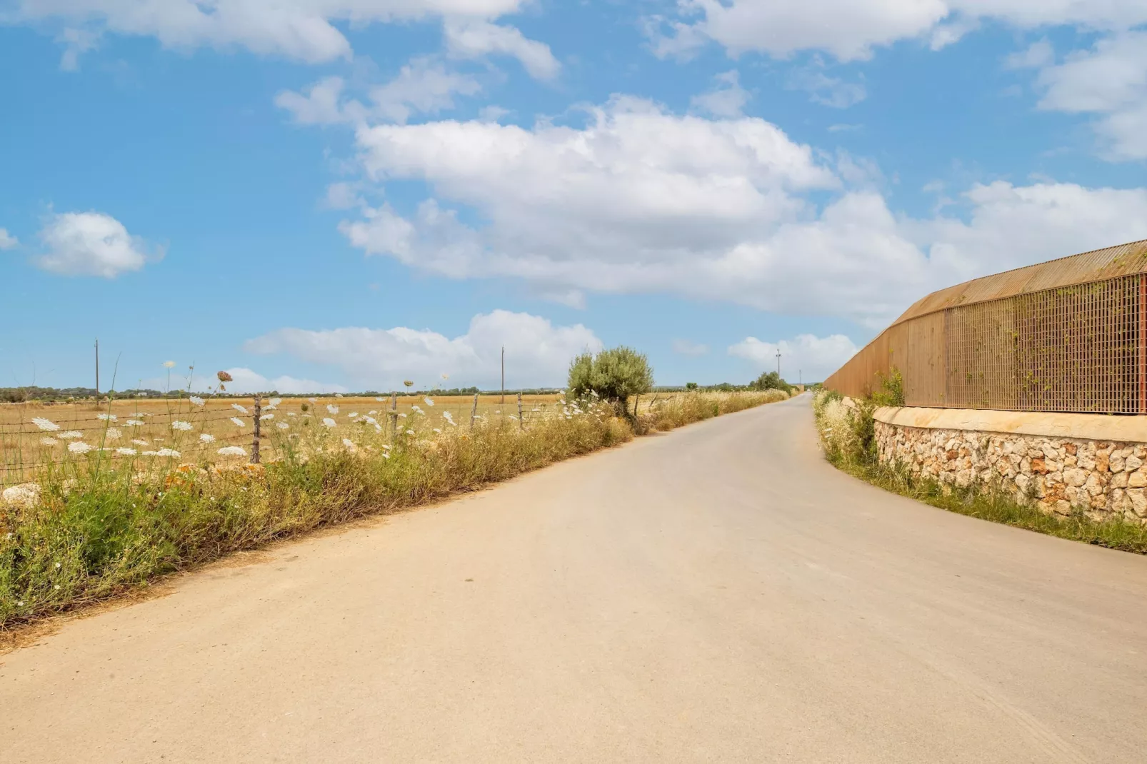 Gallinero-Gebieden zomer 1km
