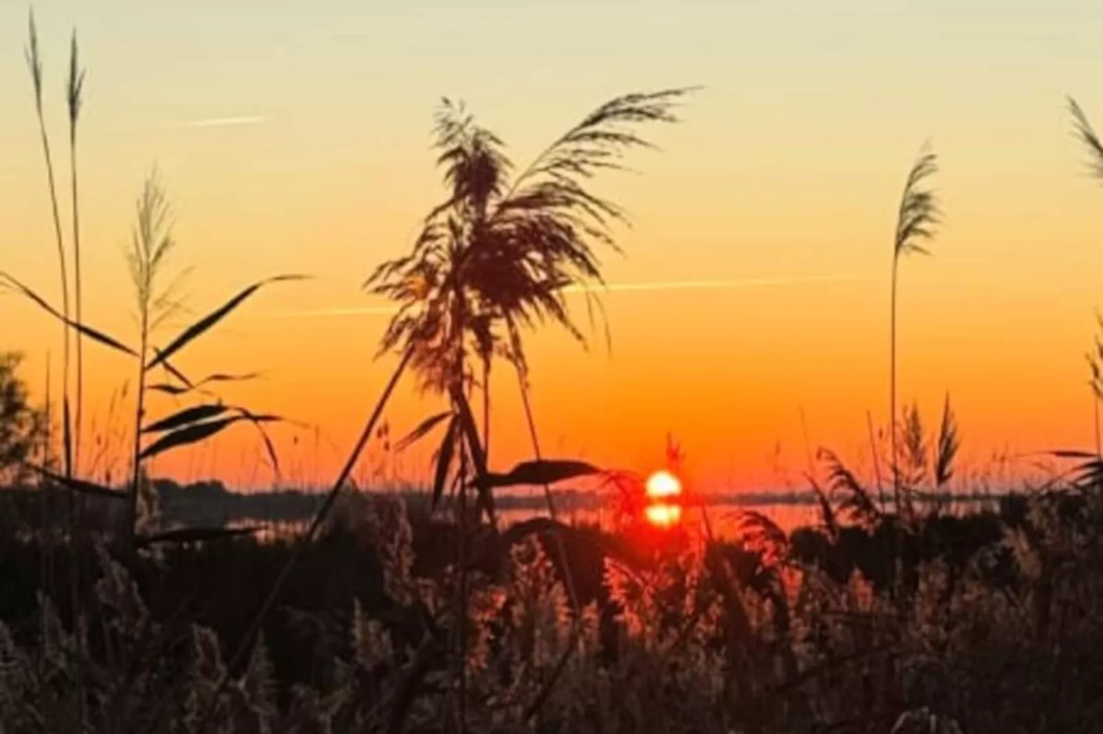 Résidence La Perle Rose Villa Standing 5 &eacute;toiles Avec Piscine Jacuzzi Et Superbe Vue-Niet-getagd
