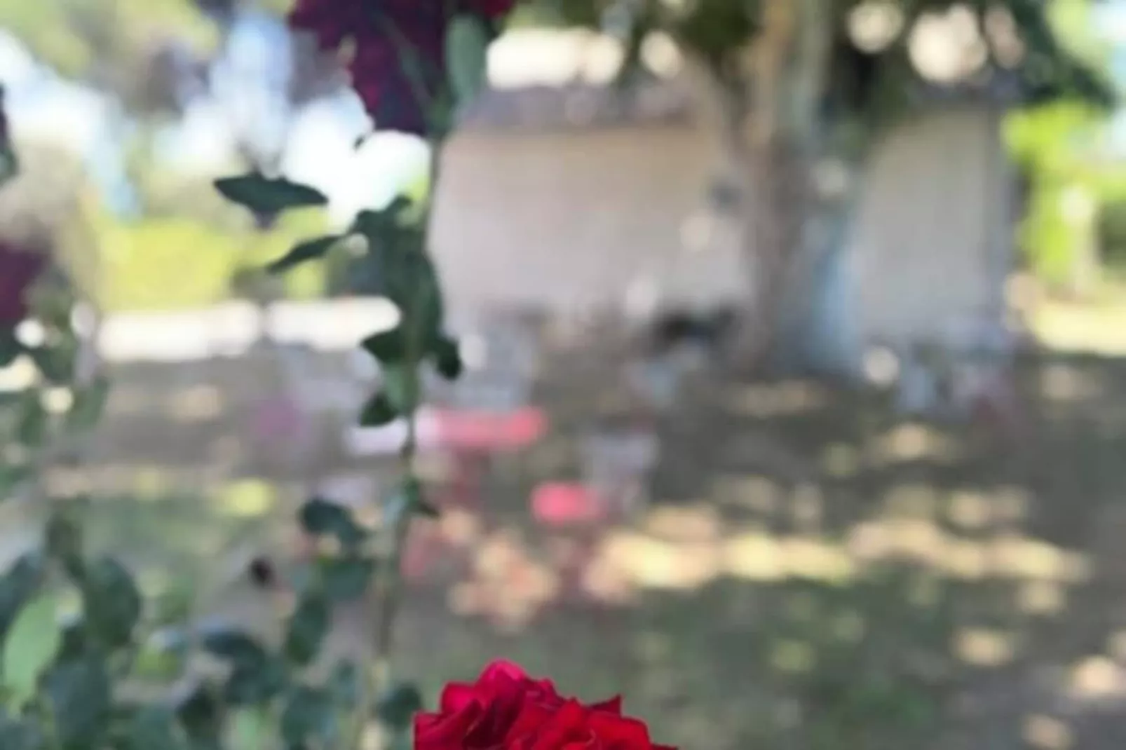 Résidence G&icirc;te Du Mas - Charmant G&icirc;te Proven&ccedil;al Avec Jardin Commun-Niet-getagd