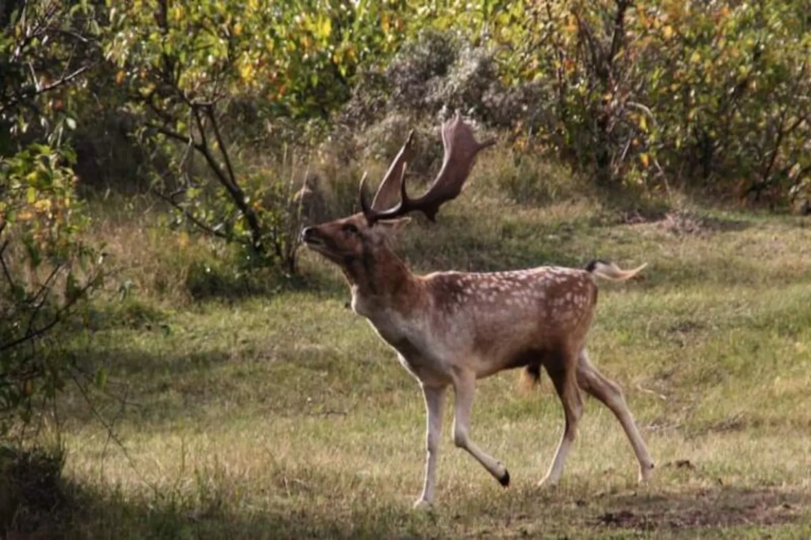 Oasis Zandvoort - Parking Gratuit-Niet-getagd