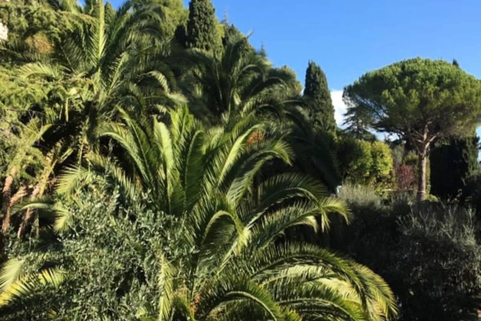 Bel Appartement 4 Chambres Vue Mer - Clim - Piscine - Tennis - Parc-Niet-getagd