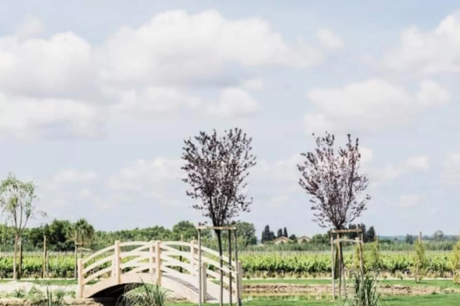 Le Mas Caladoc &ndash; Domaine De Luxe Avec Spa Privatif En Provence-Niet-getagd