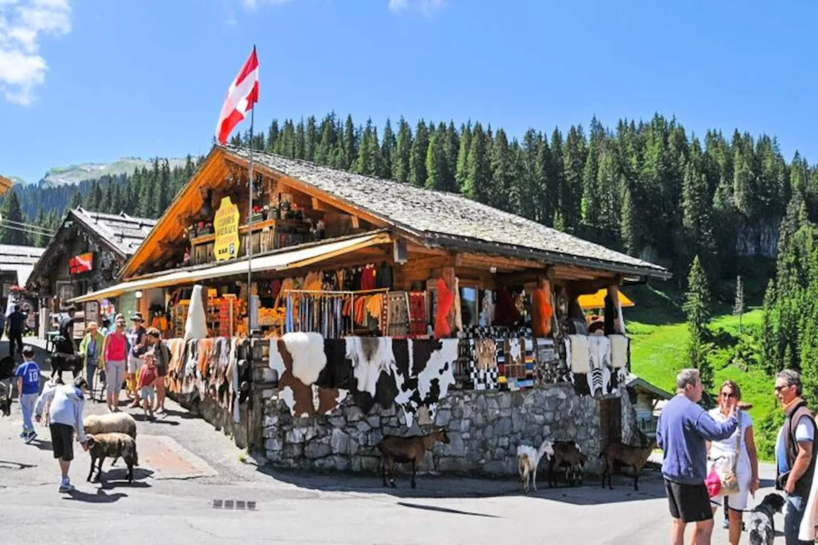 AlpChalets Portes du Soleil *****-Niet-getagd