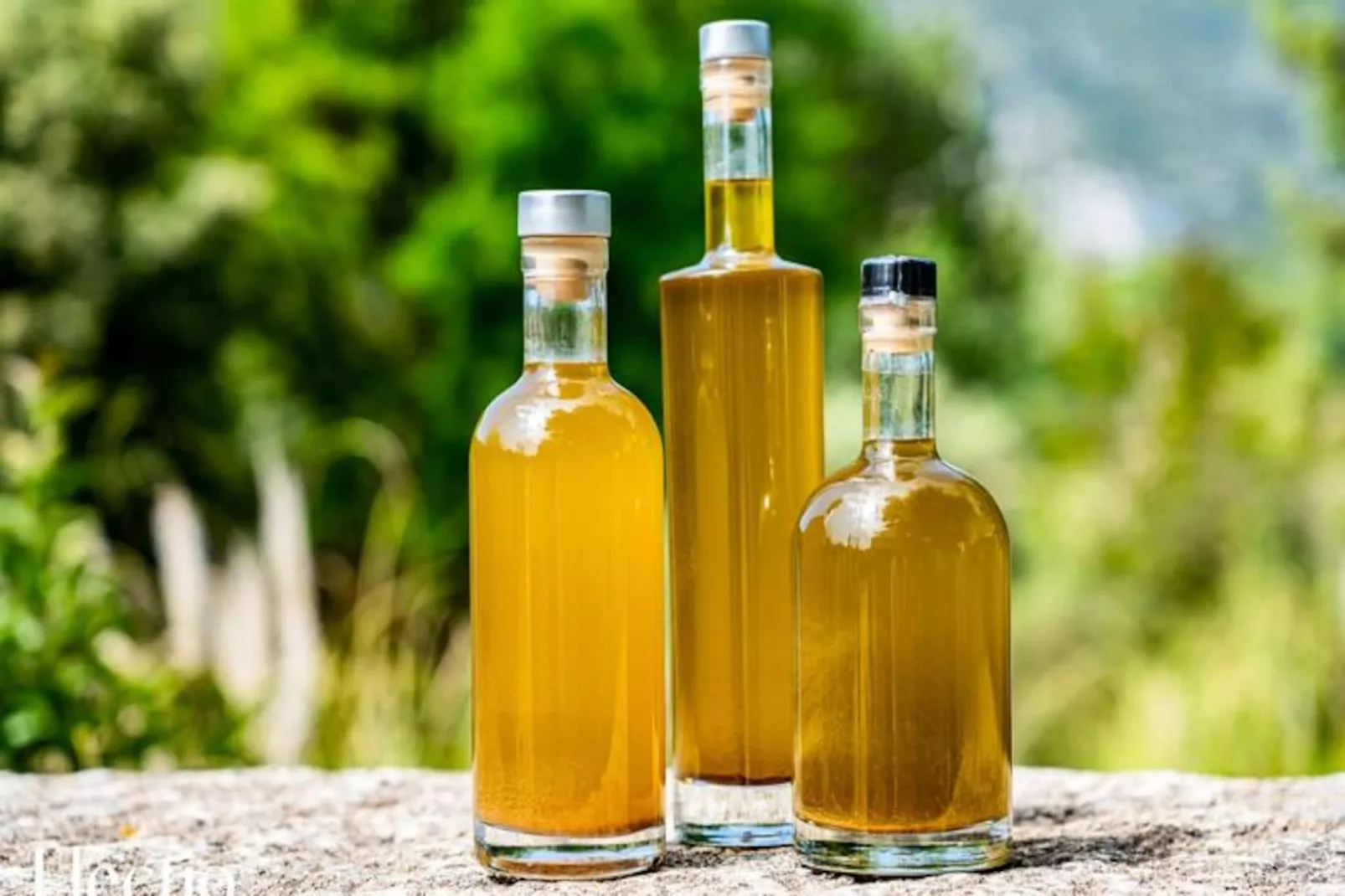 Loggia 8 Laurier | R&eacute;sidence Les Petitons-Niet-getagd