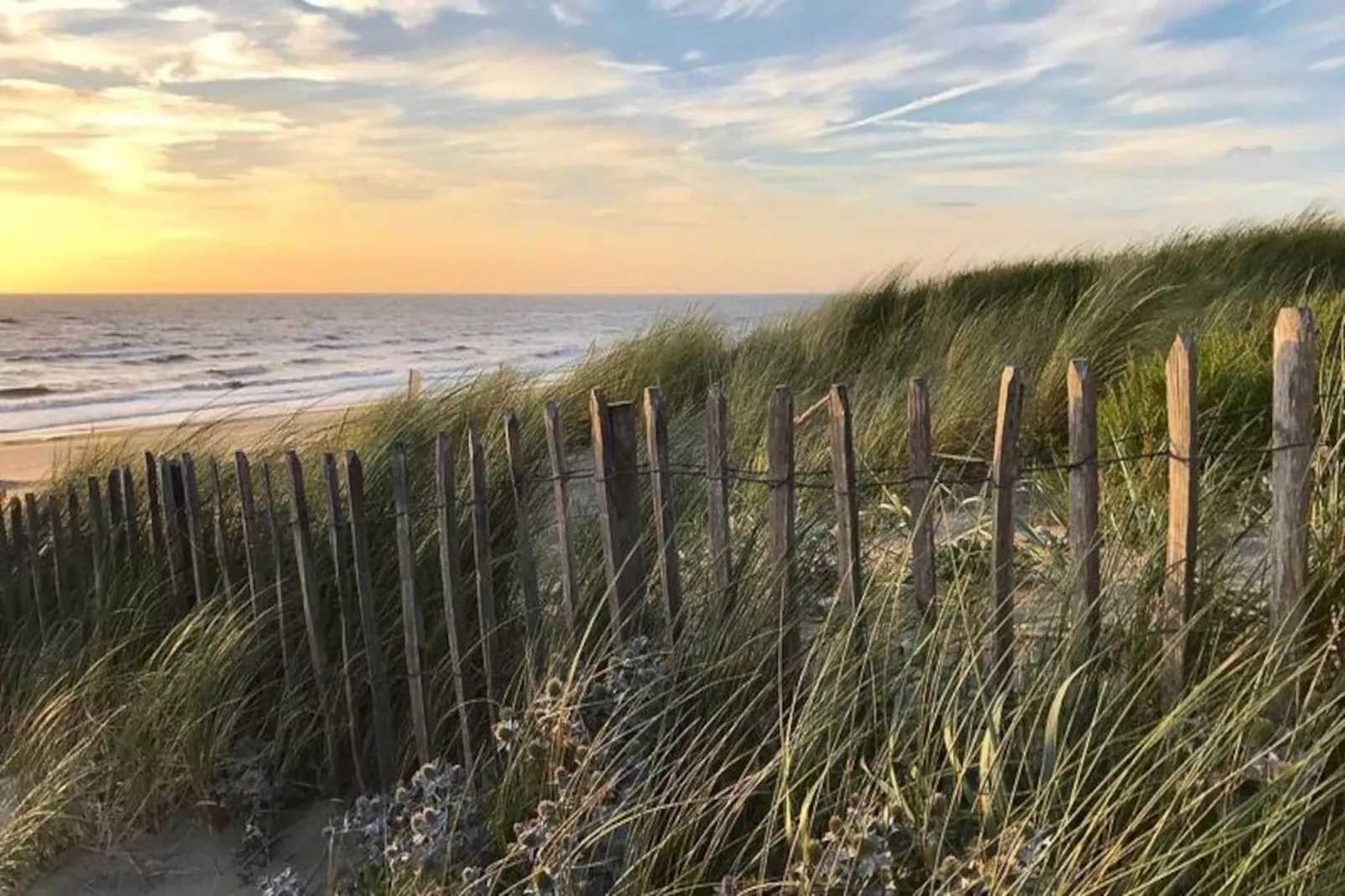 Family Stay Zandvoort-Niet-getagd