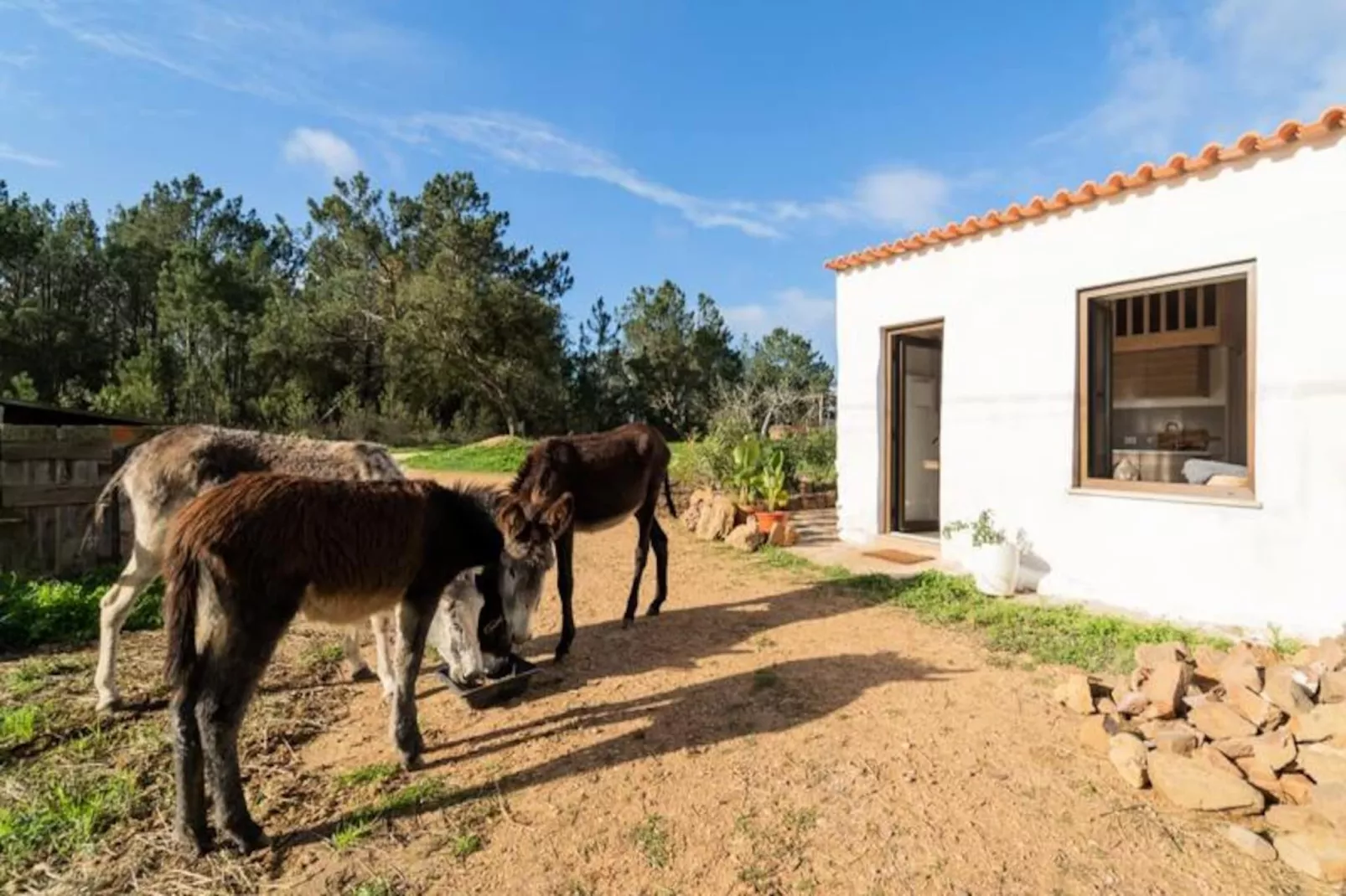 Casinha Da Paz-Niet-getagd