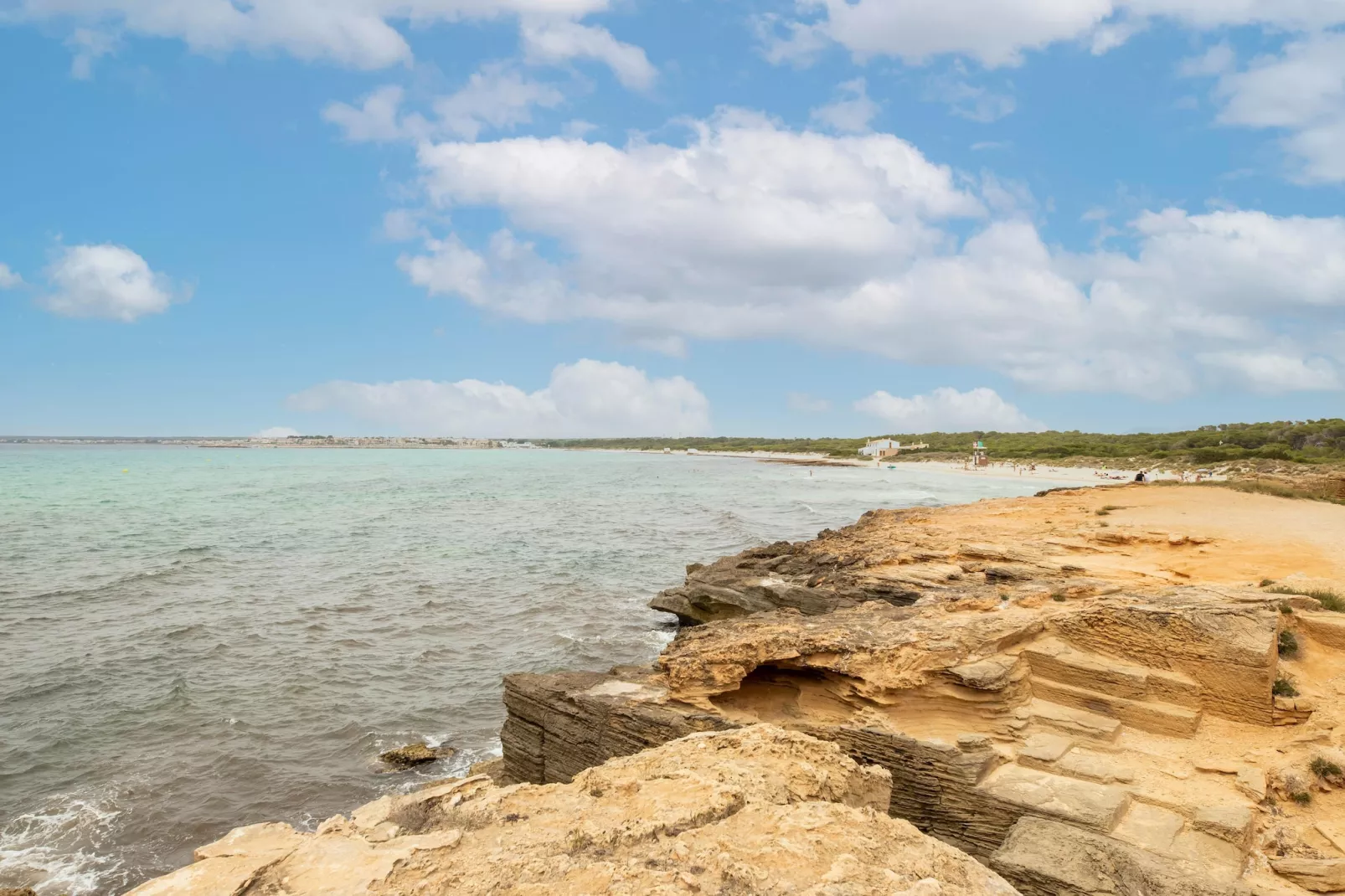 El Taller-Gebieden zomer 1km