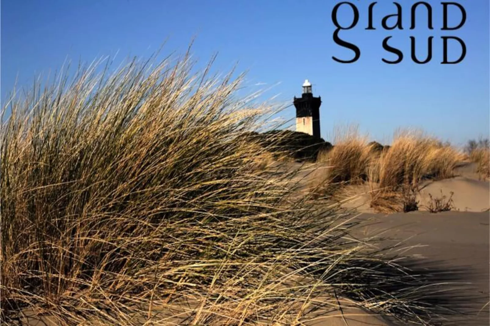 Résidence Studio Les Jardins Du Port  Port Camargue, Avec Piscine &agrave; 2 Pas De La Plage-Niet-getagd