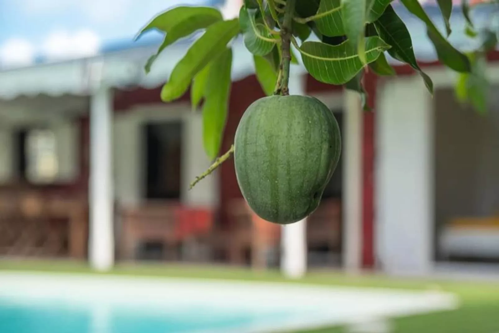 Villa Hibiscus-Niet-getagd