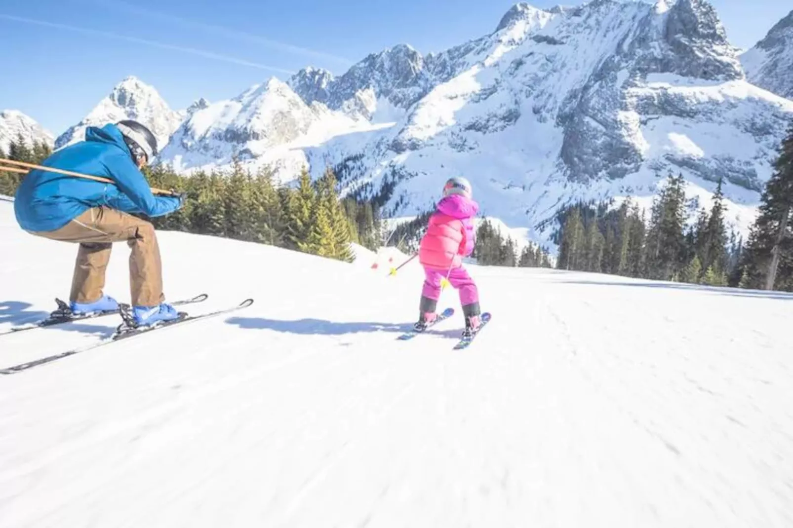 AlpChalets Portes du Soleil *****-Niet-getagd