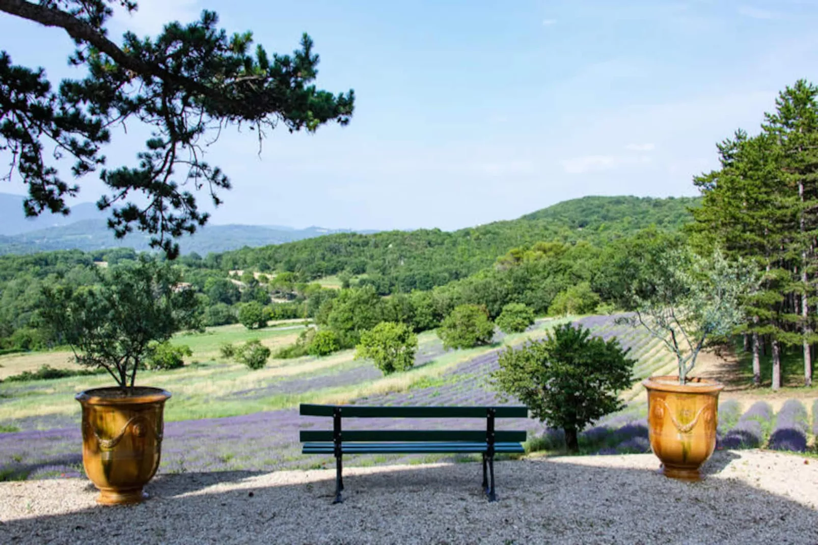 Bastide De L'esclat - Piscine - Champs De Lavandes-Niet-getagd