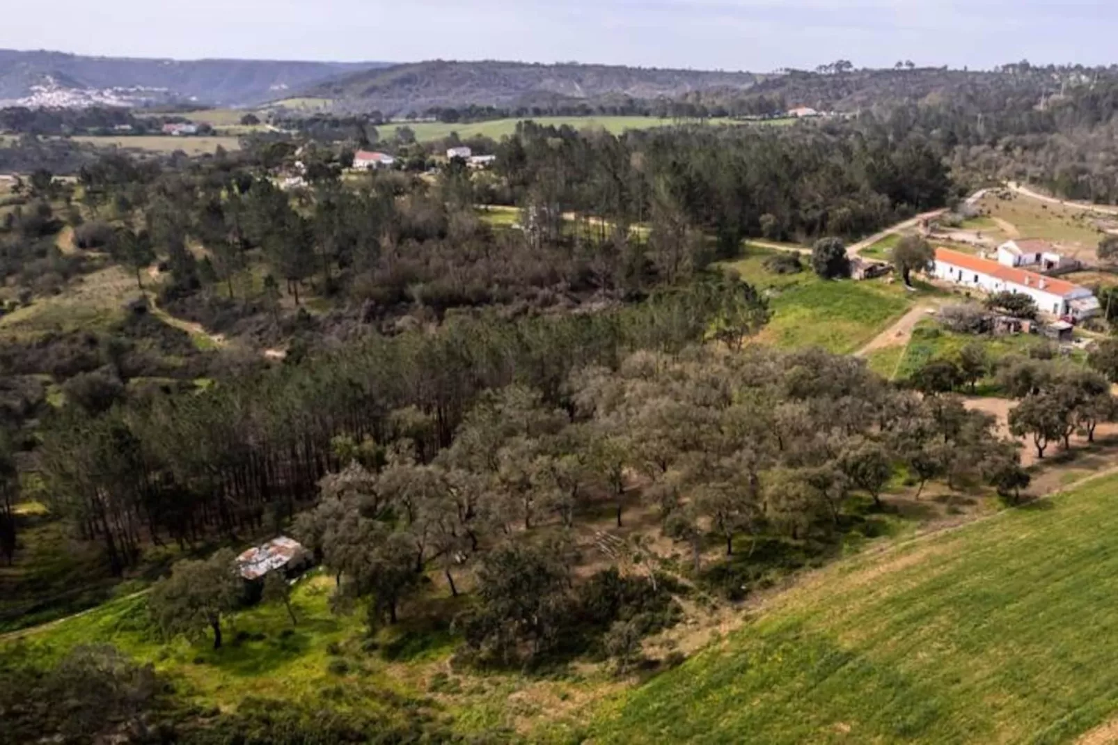 Casinha Da Paz-Niet-getagd