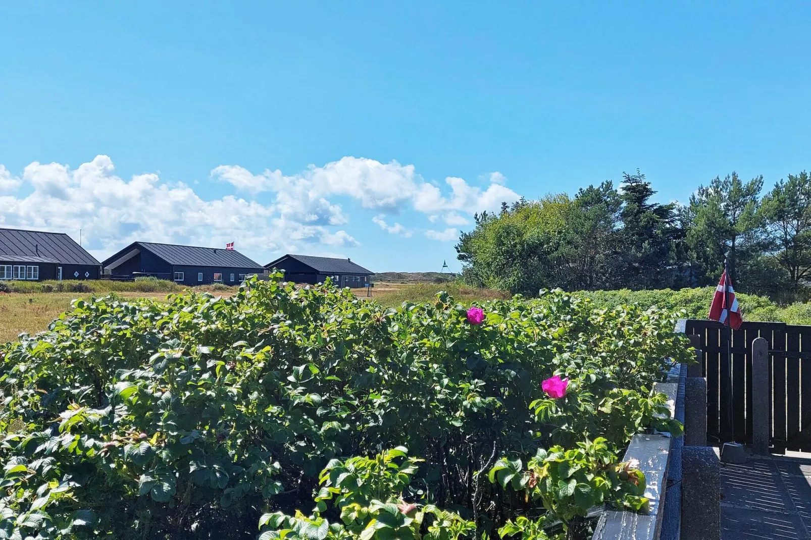 4 persoons vakantie huis in Skagen-By Traum-Uitzicht