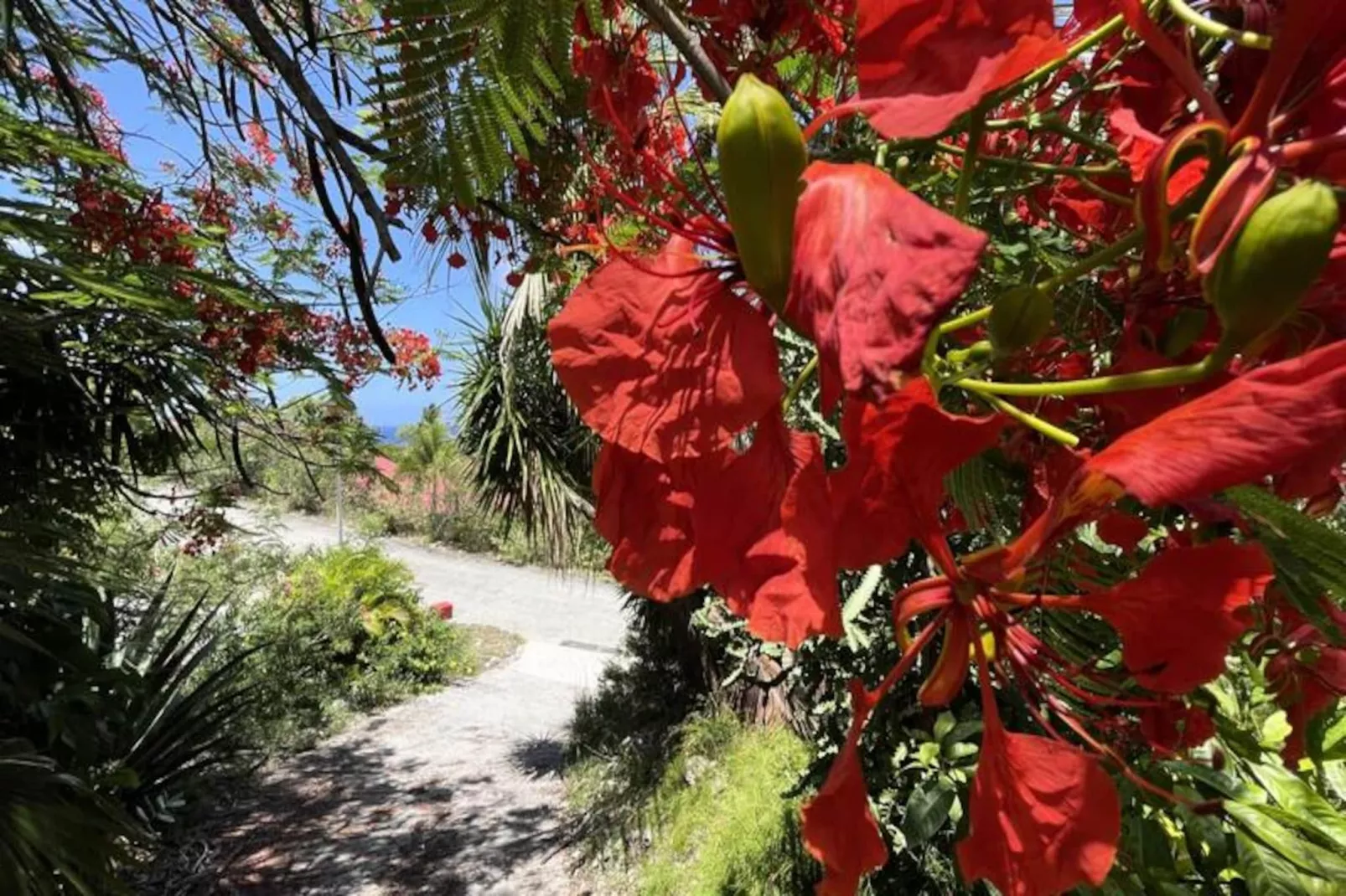 Villa Calico - Niet-getagd