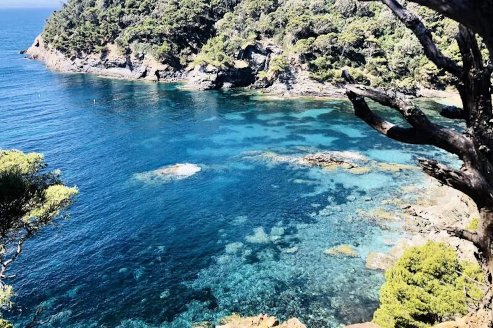 Résidence La Tancade-hyeres-Niet-getagd