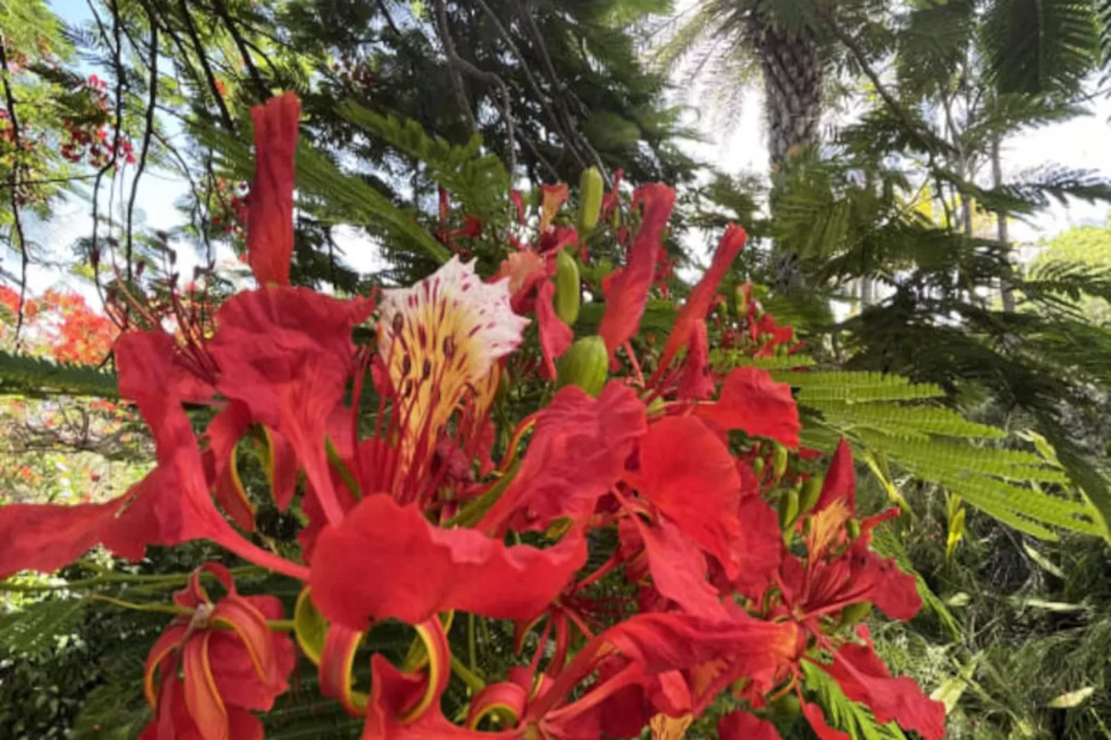 Villa Calico - Niet-getagd