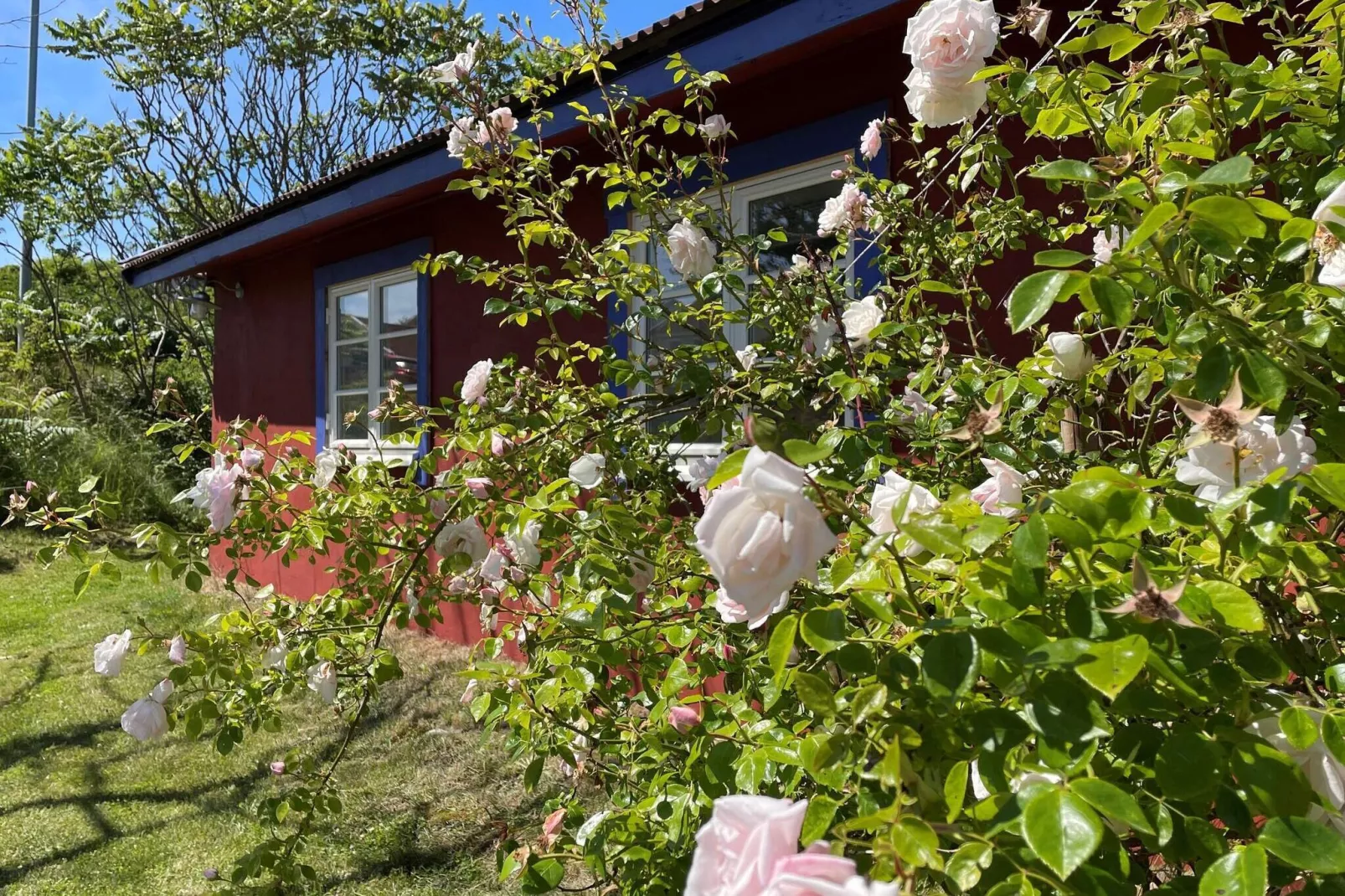 4 persoons vakantie huis in Skärhamn
