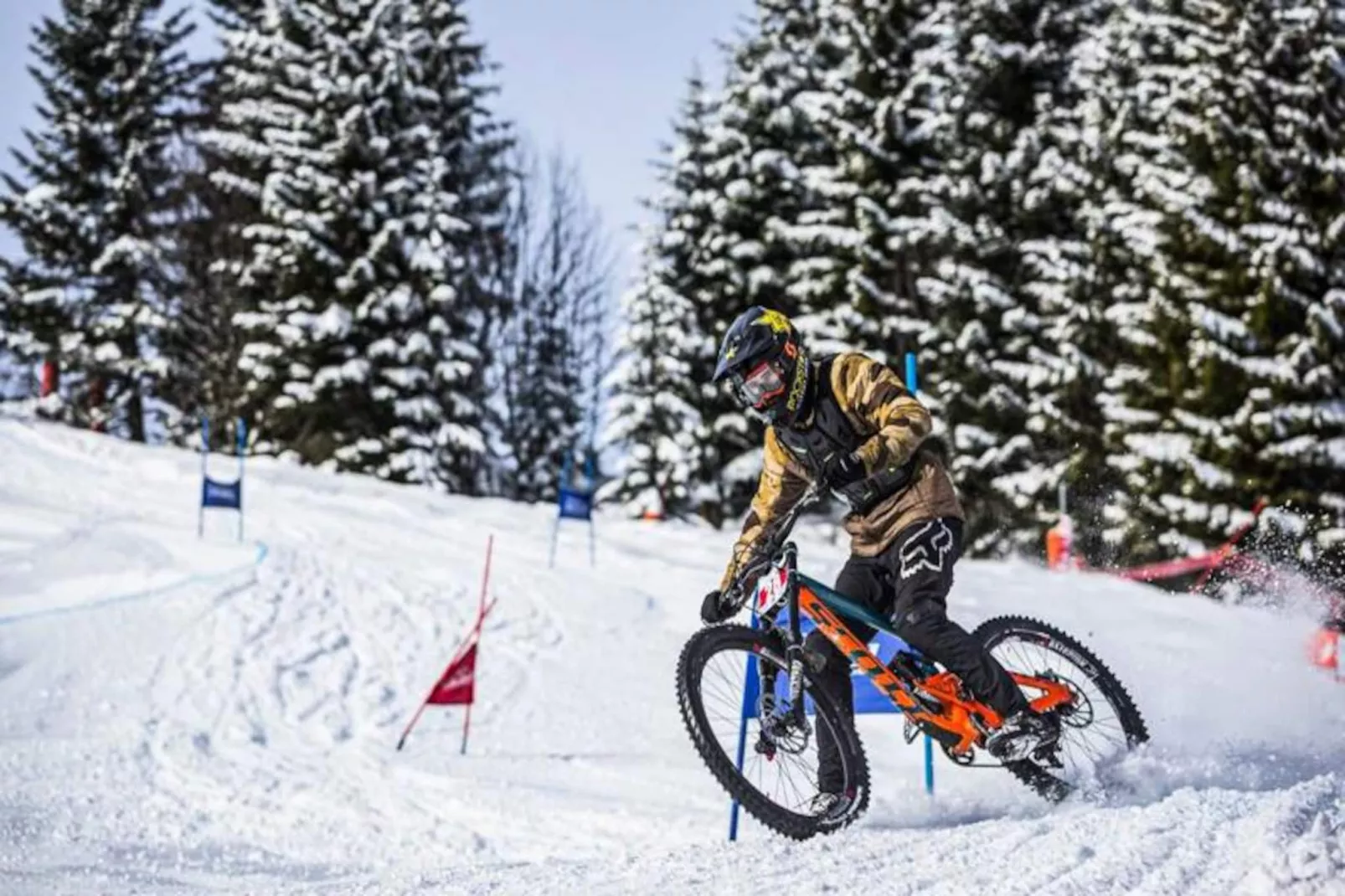 AlpChalets Portes du Soleil *****-Niet-getagd