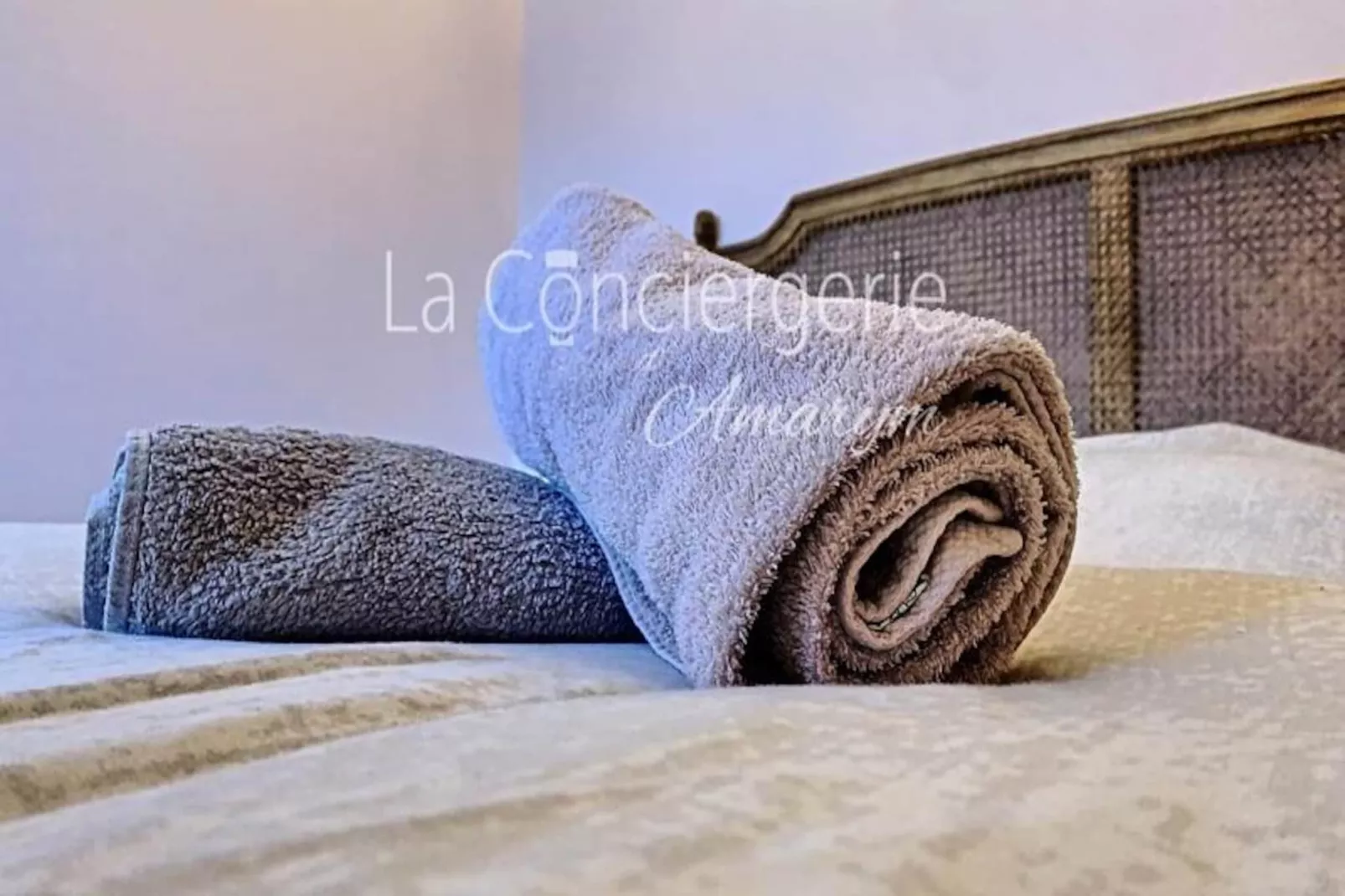 Résidence Aa13 - Le Victor Hugo - S&eacute;jour D&rsquo;exception Dans Un Appartement Historique-Niet-getagd