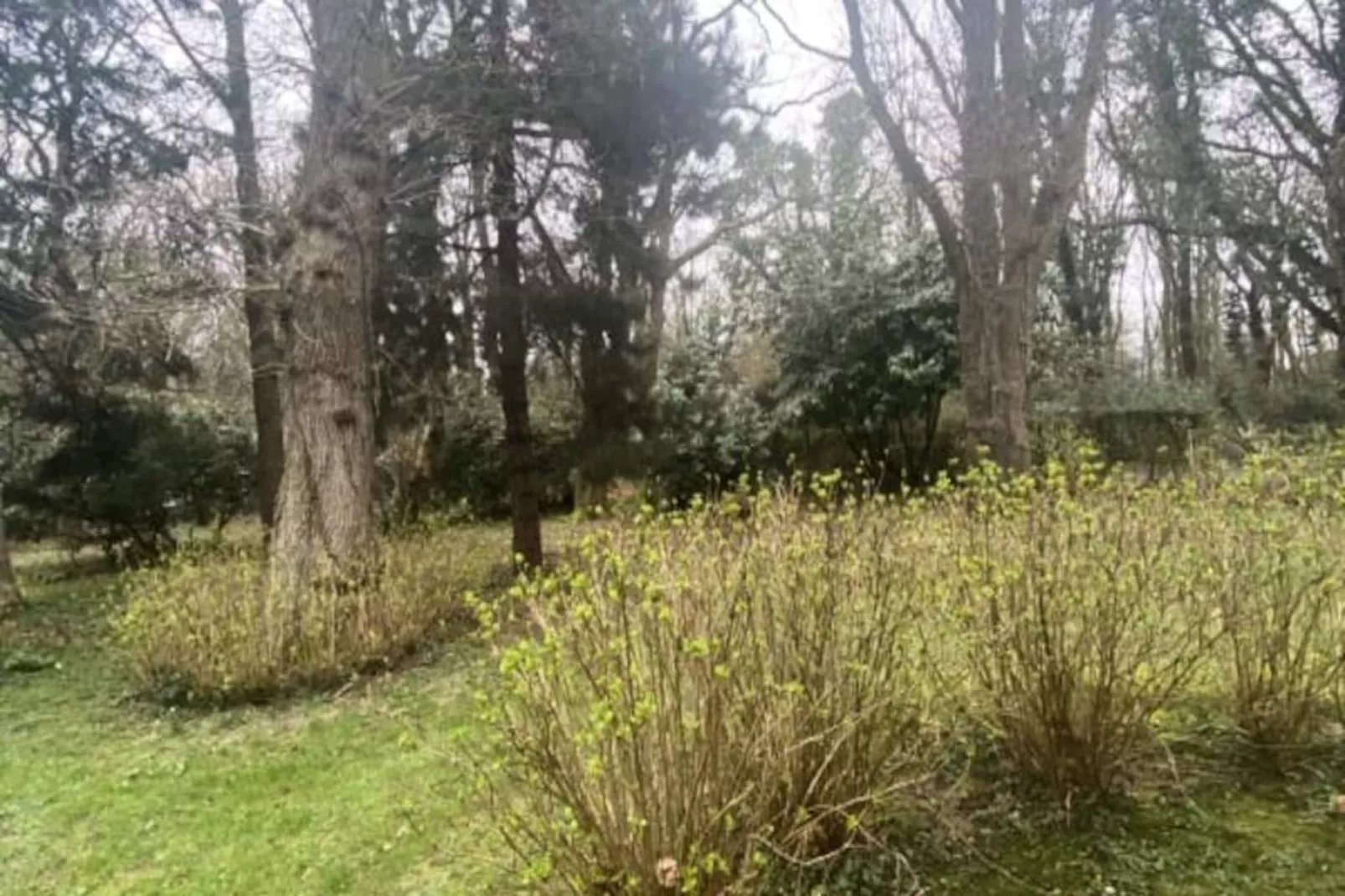 Résidence Bg32 - Mer & Bois De Cise.. Maison Individuelle Avec Grand Jardin-Niet-getagd