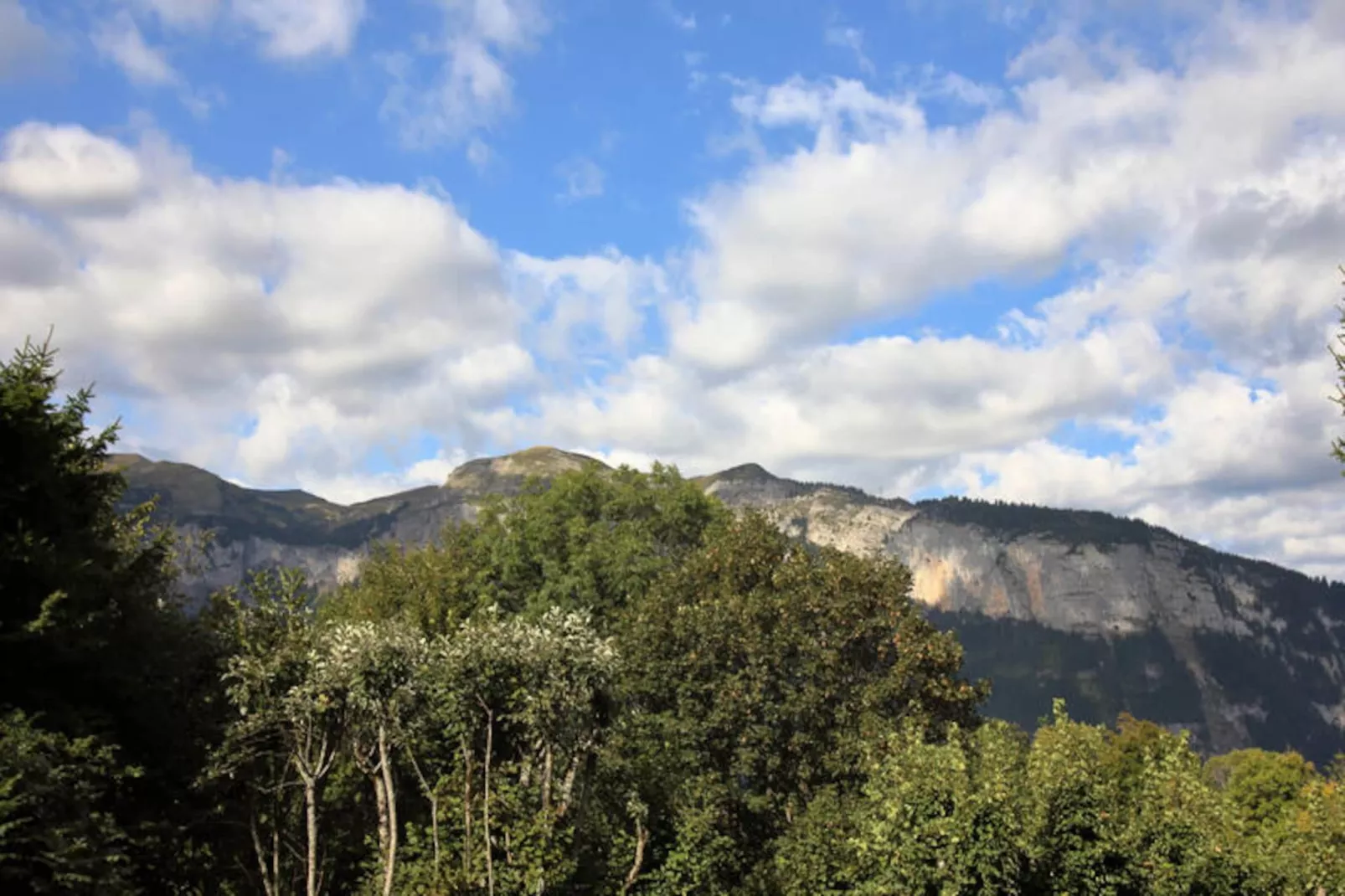 Chalets à Les Carroz-d'Arâches-Niet-getagd