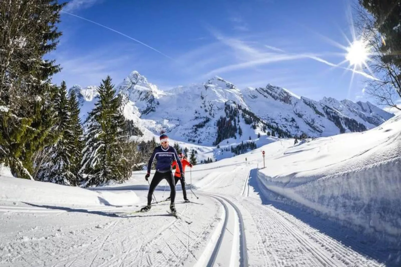 AlpChalets Portes du Soleil *****-Niet-getagd