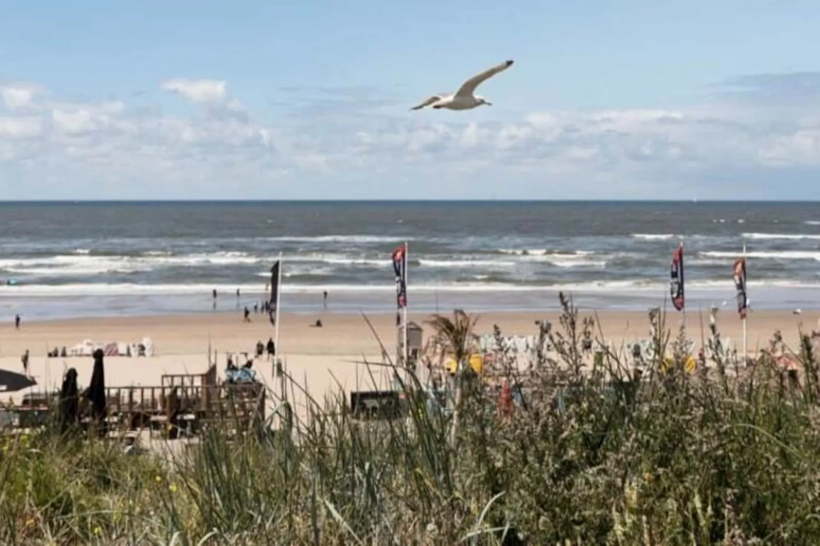 Oasis Zandvoort - Parking Gratuit-Niet-getagd