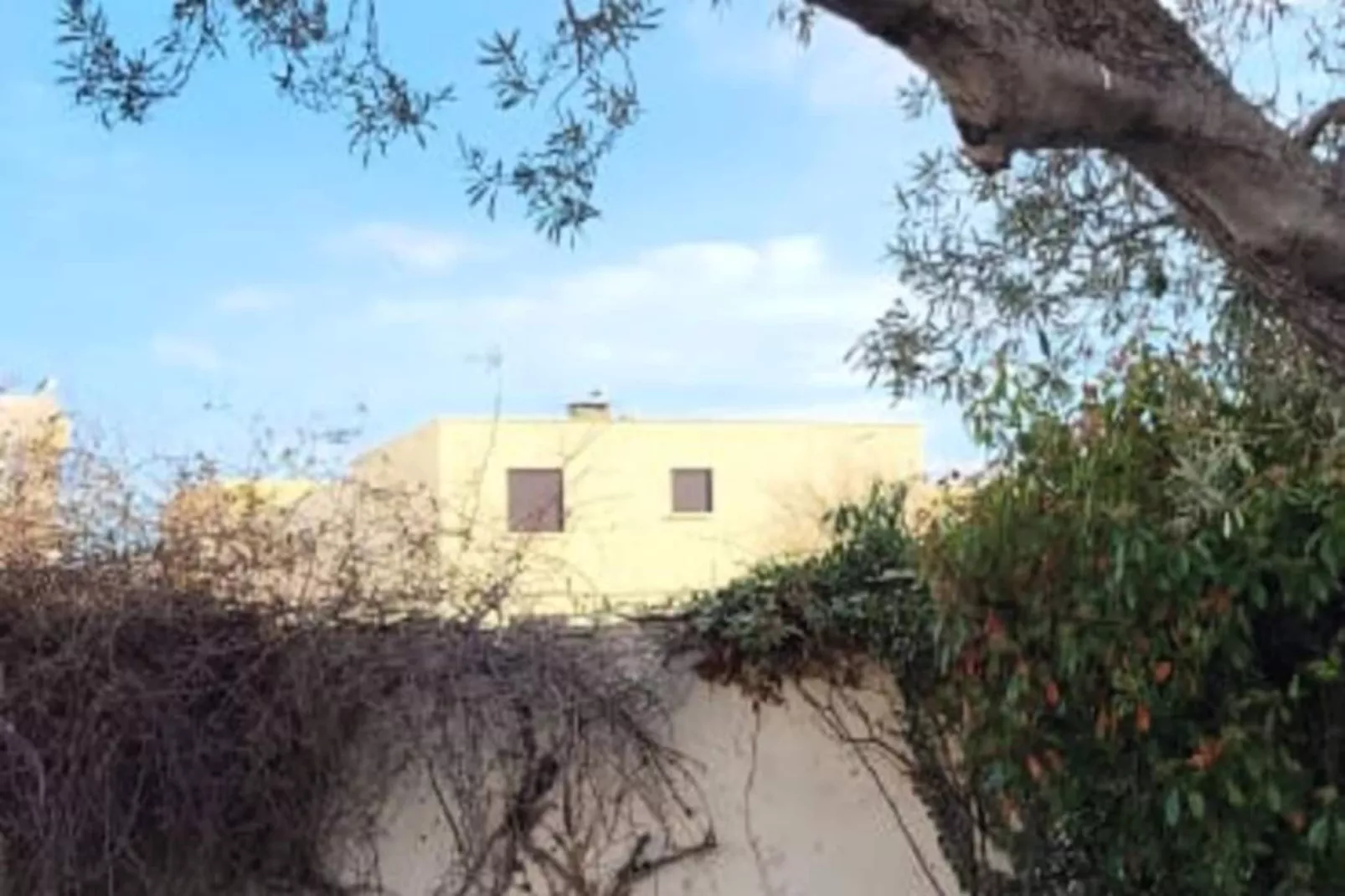 Résidence Villa Camarguaise : Entre Plage Et Centre Ville Avec Bassin Ext&eacute;rieur-Niet-getagd