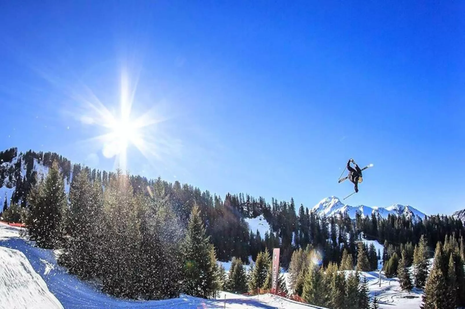 AlpChalets Portes du Soleil *****-Niet-getagd