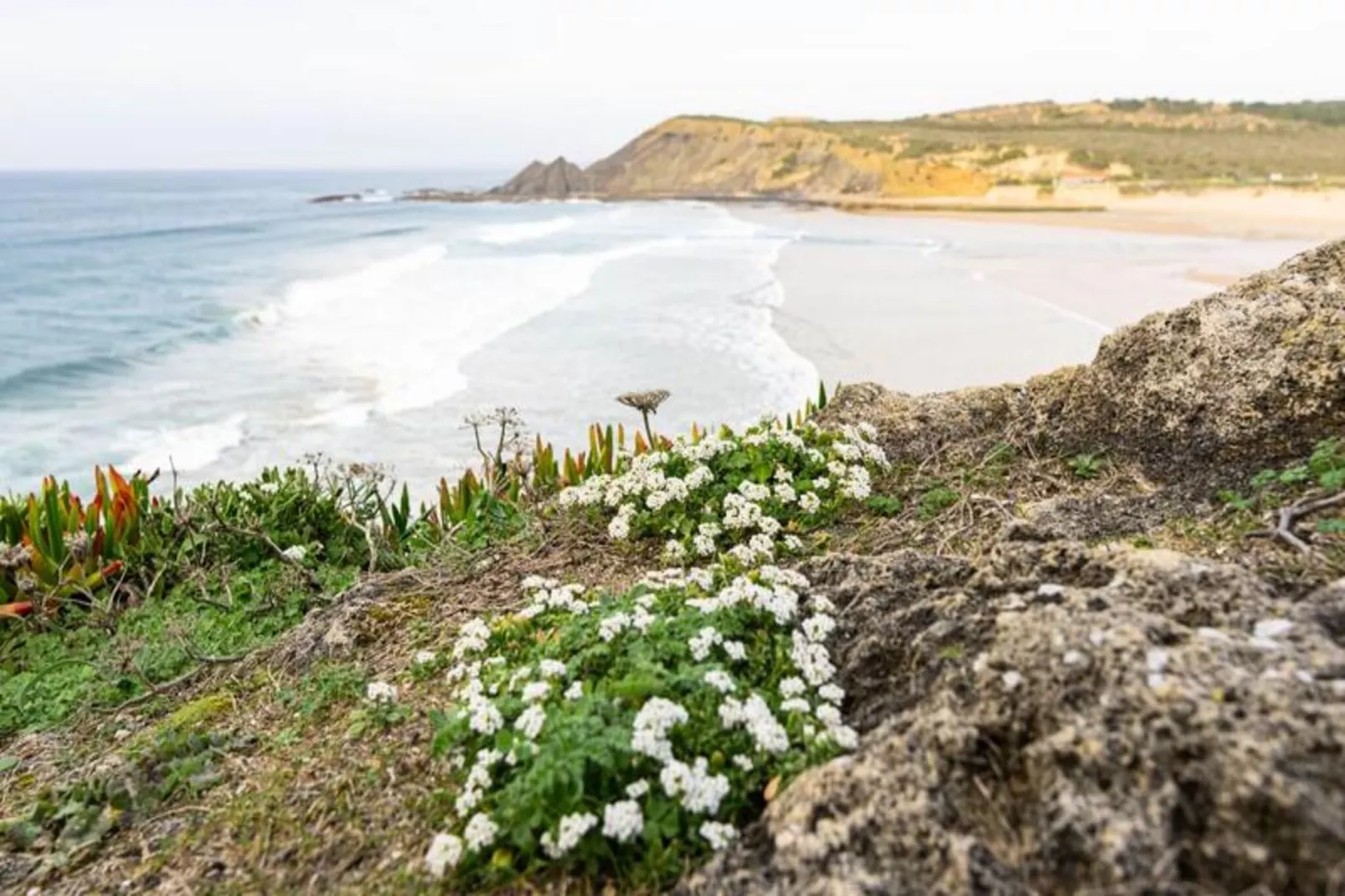 Casa Dos Sonhadores-Niet-getagd