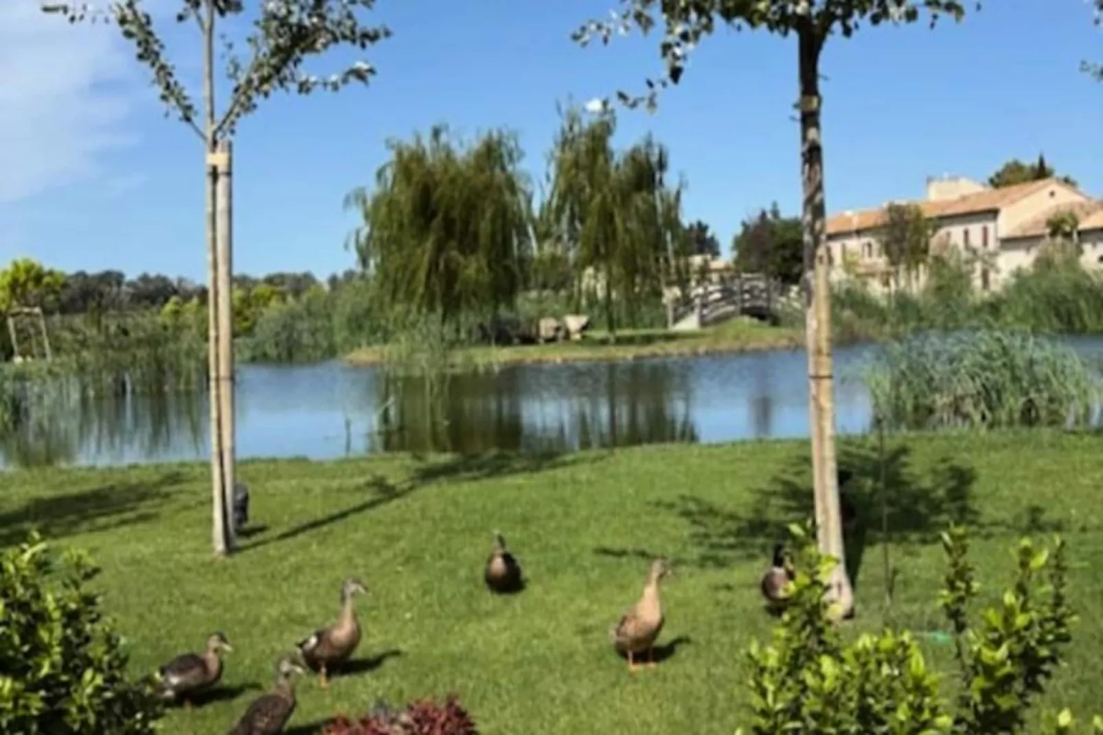 Le Mas Caladoc &ndash; Domaine De Luxe Avec Spa Privatif En Provence-Niet-getagd