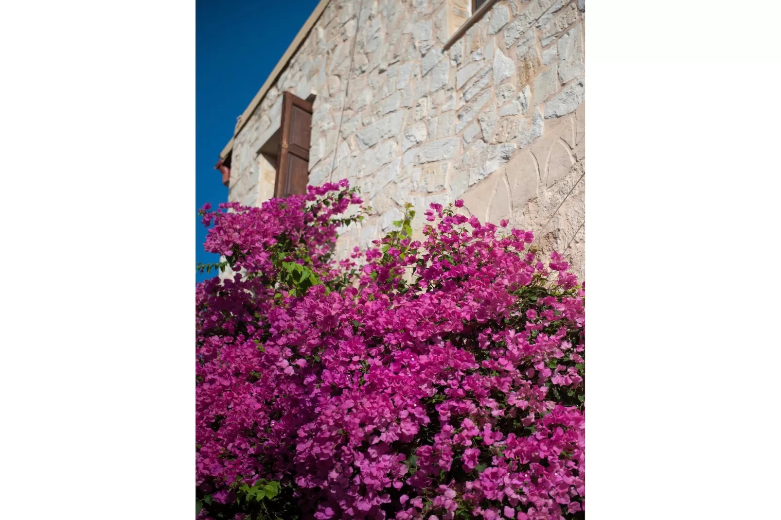 Villa Arhontariki 8prs-Gebieden zomer 1km