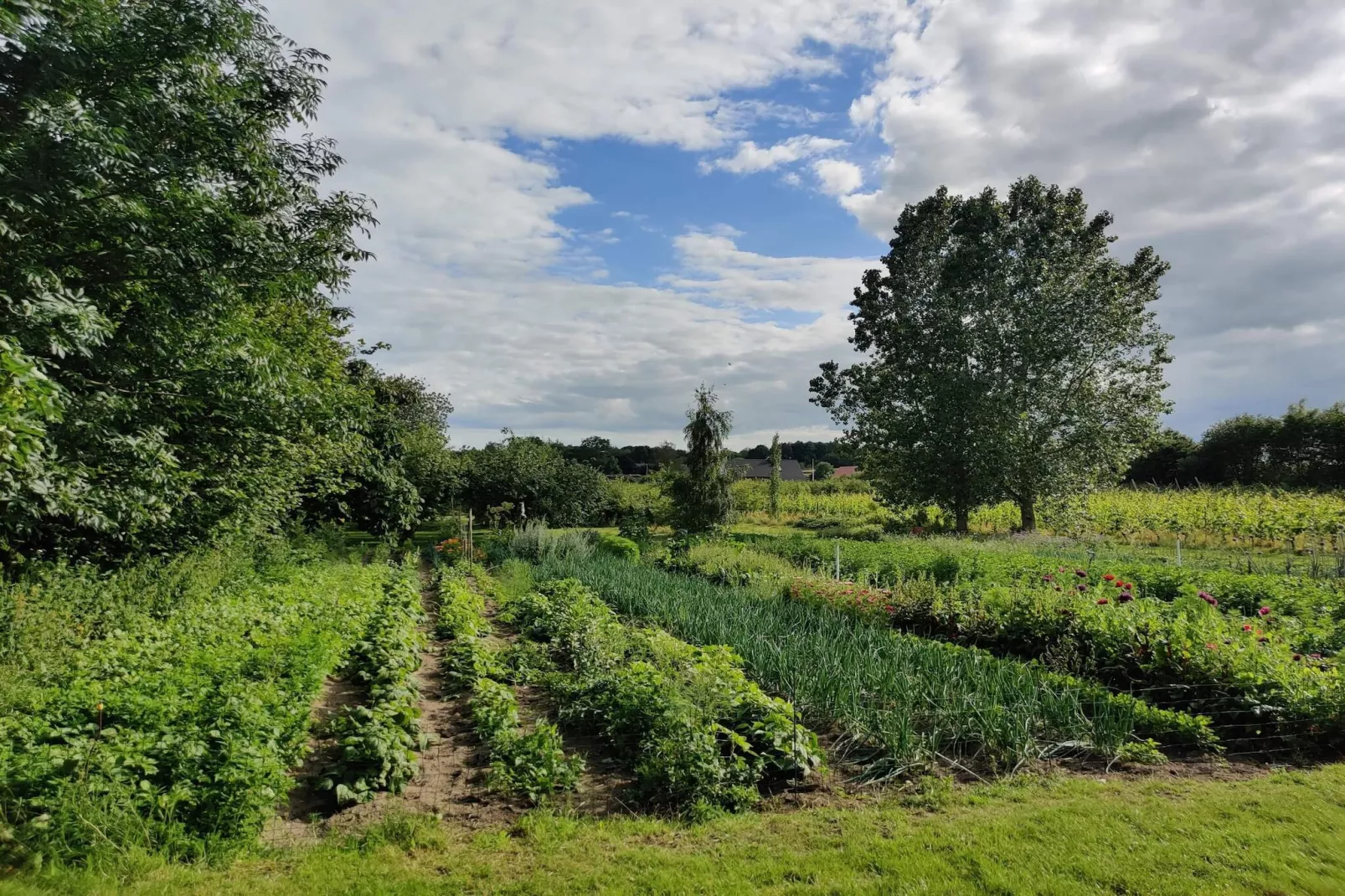 4 persoons vakantie huis in Odder-Niet-getagd