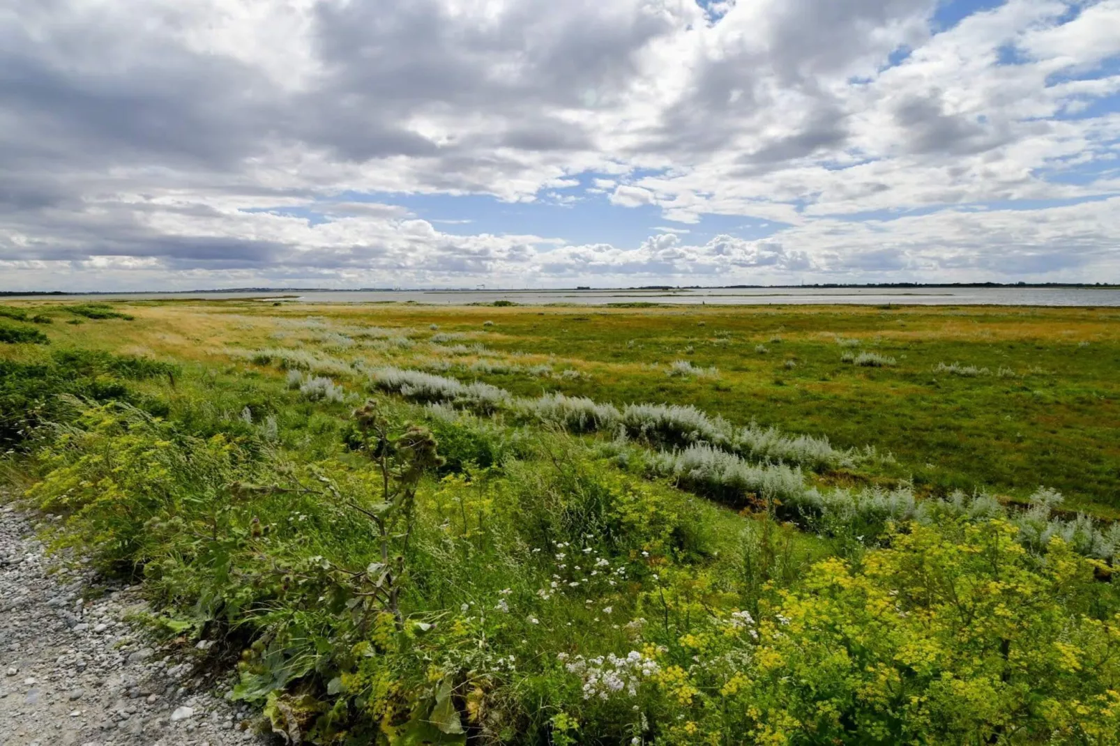 8 persoons vakantie huis in Otterup-By Traum-Niet-getagd