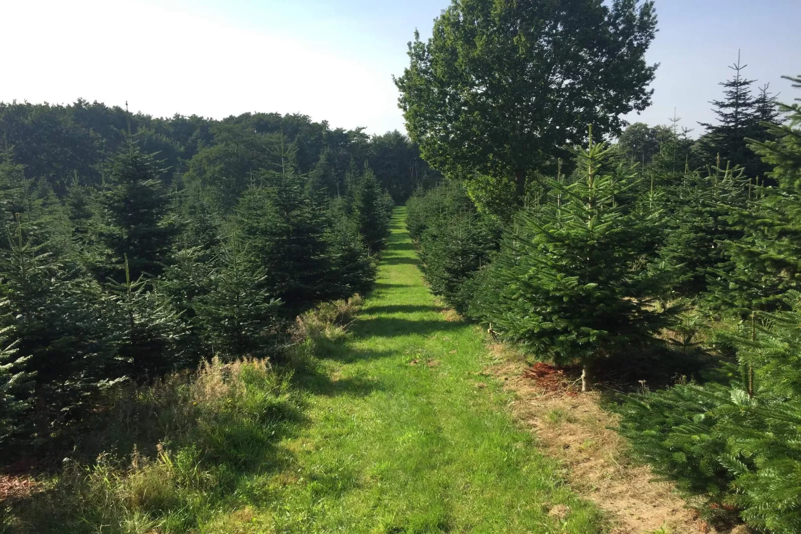 4 persoons vakantie huis in Odder-Niet-getagd