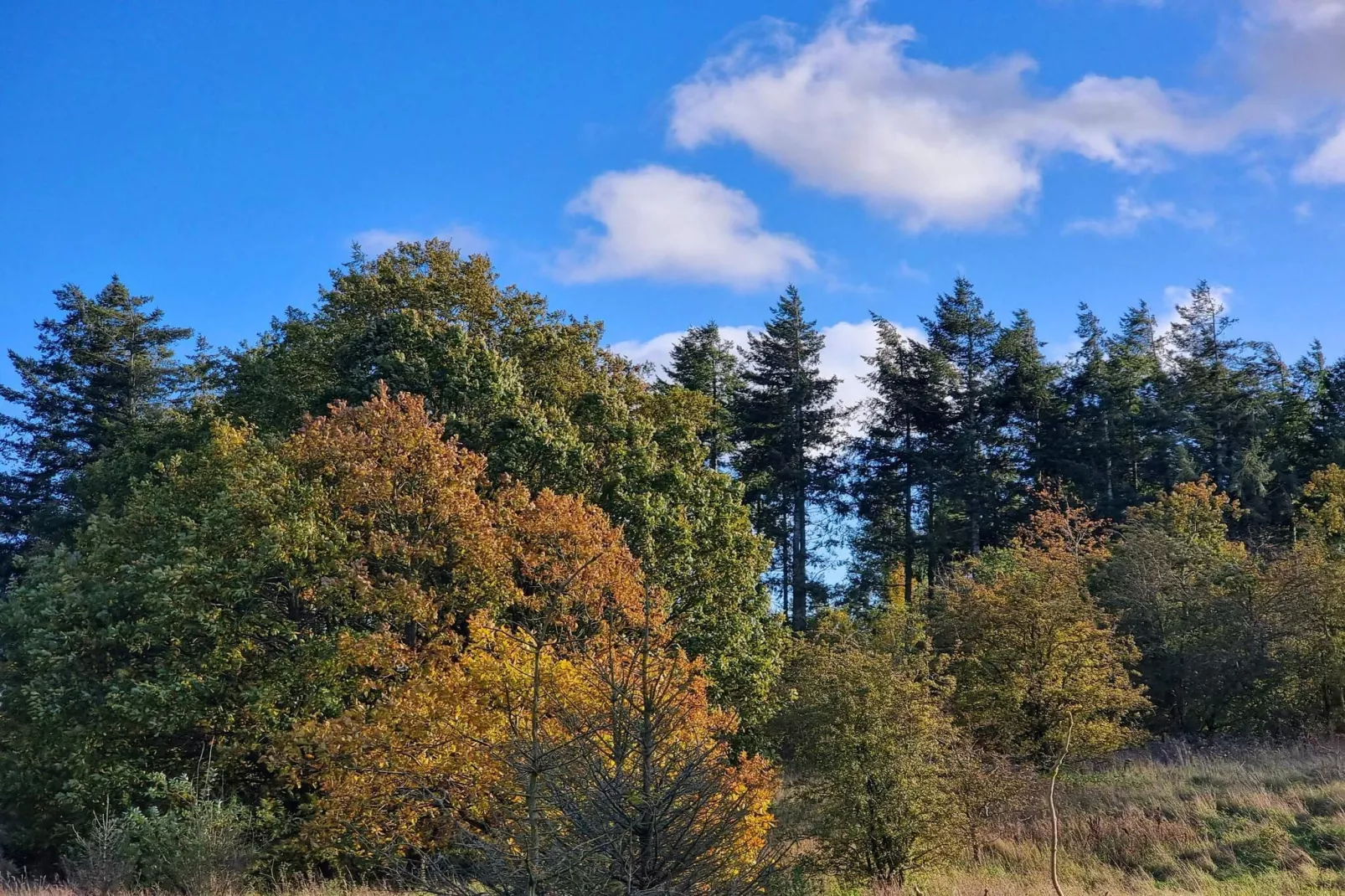 Luxe Spa-Retraite in Thorsager -- By Traum Ferienwohnungen-Niet-getagd