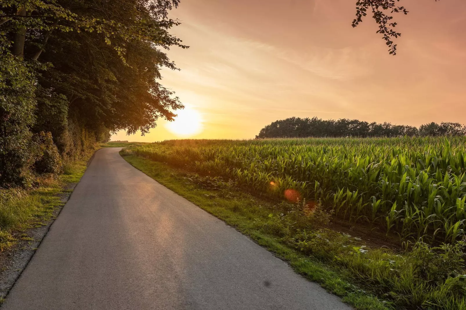3 Personen vakantie huis in Tranekær-Waterzicht