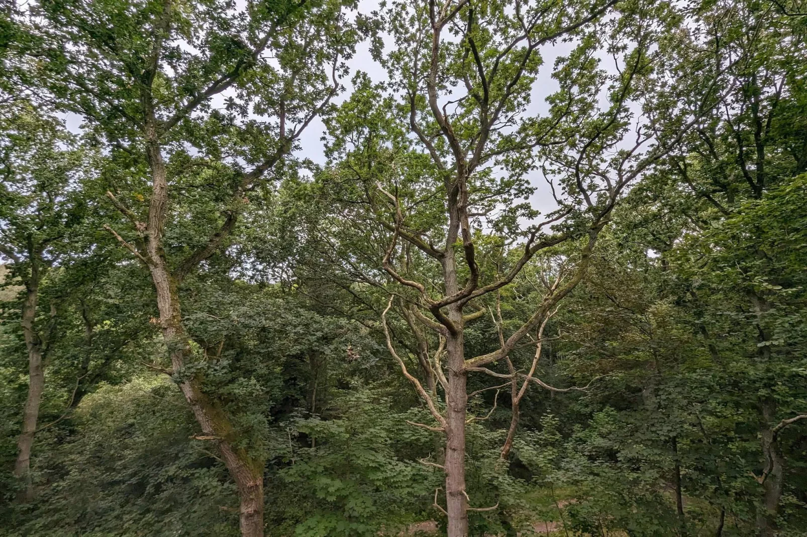 6 persoons vakantie huis in Hadsund-By Traum-Niet-getagd