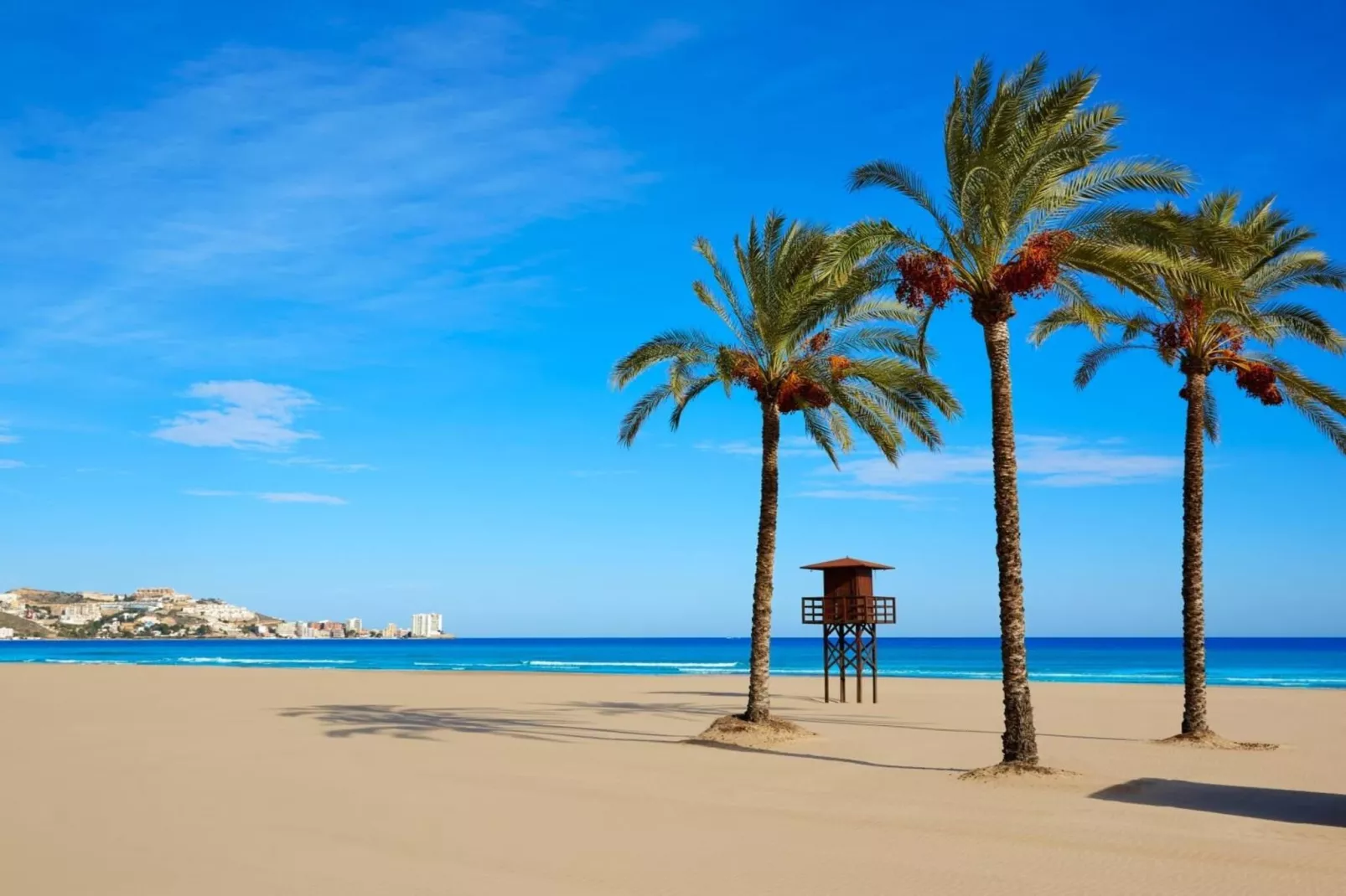 4979-+34636021638-Gebieden zomer 20km