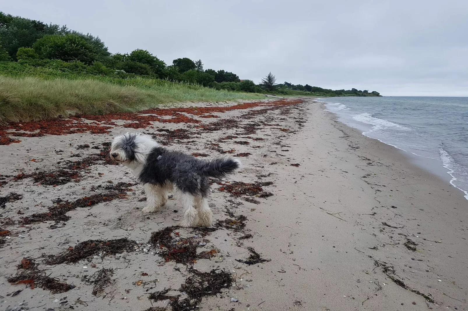 5 persoons vakantie huis in Malling-By Traum-Waterzicht