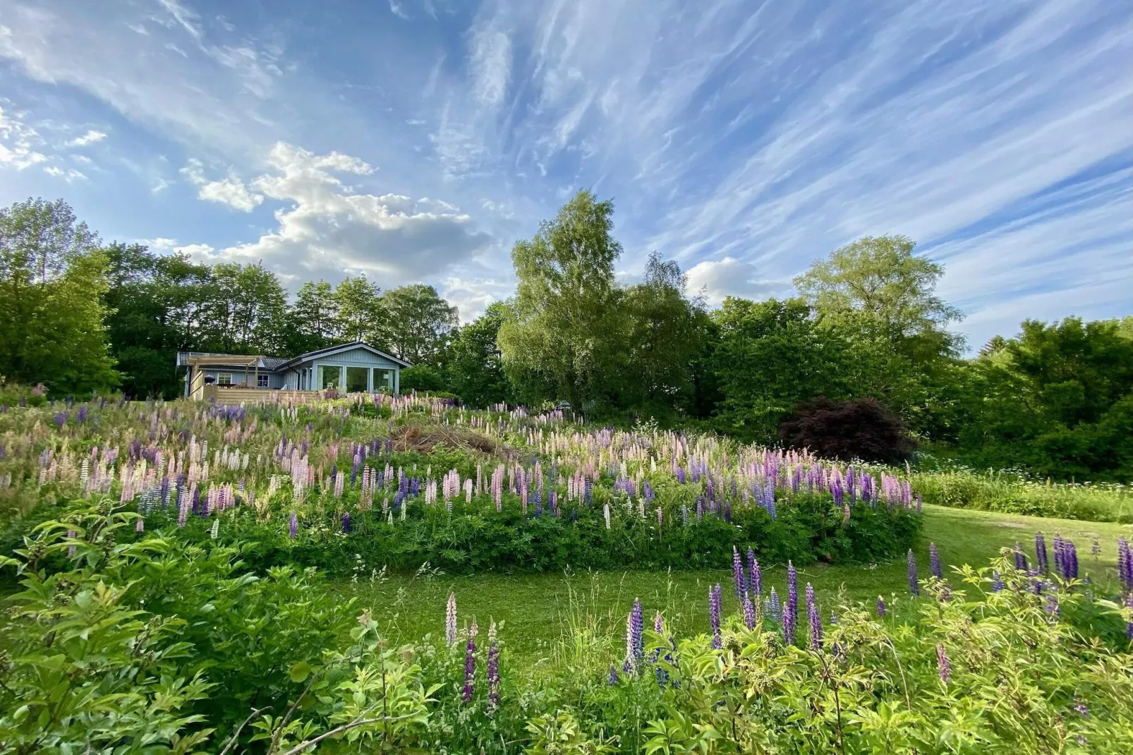 4 sterren vakantie huis in BRÖSARP-Buitenlucht