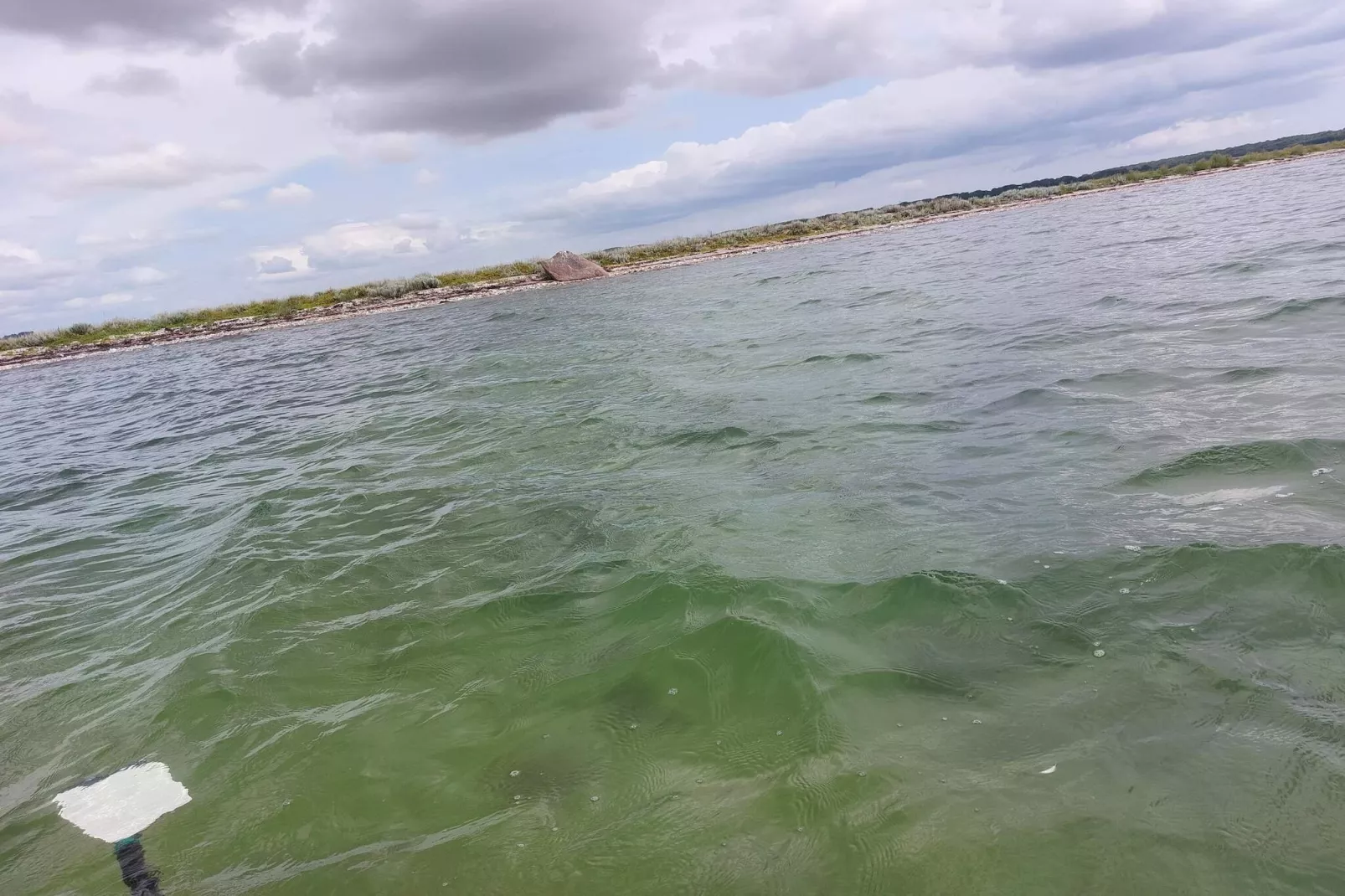 4 persoons vakantie huis in Odder-Waterzicht