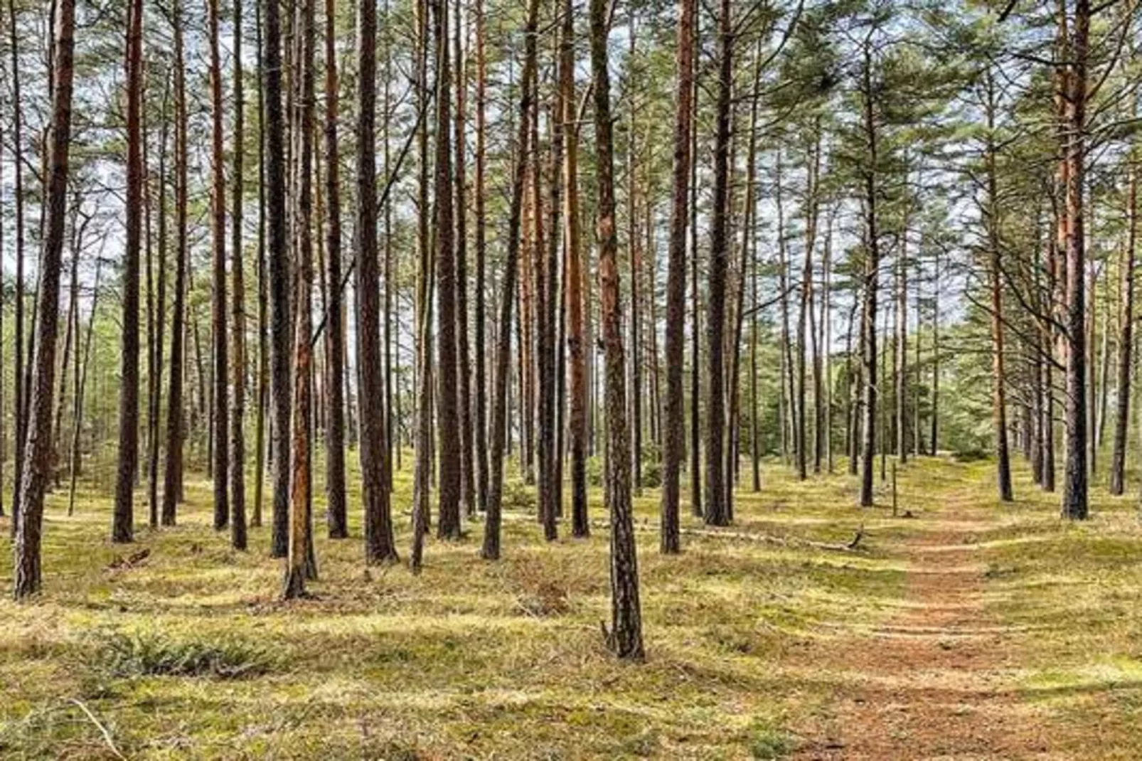 4 sterren vakantie huis in BRÖSARP-Buitenlucht